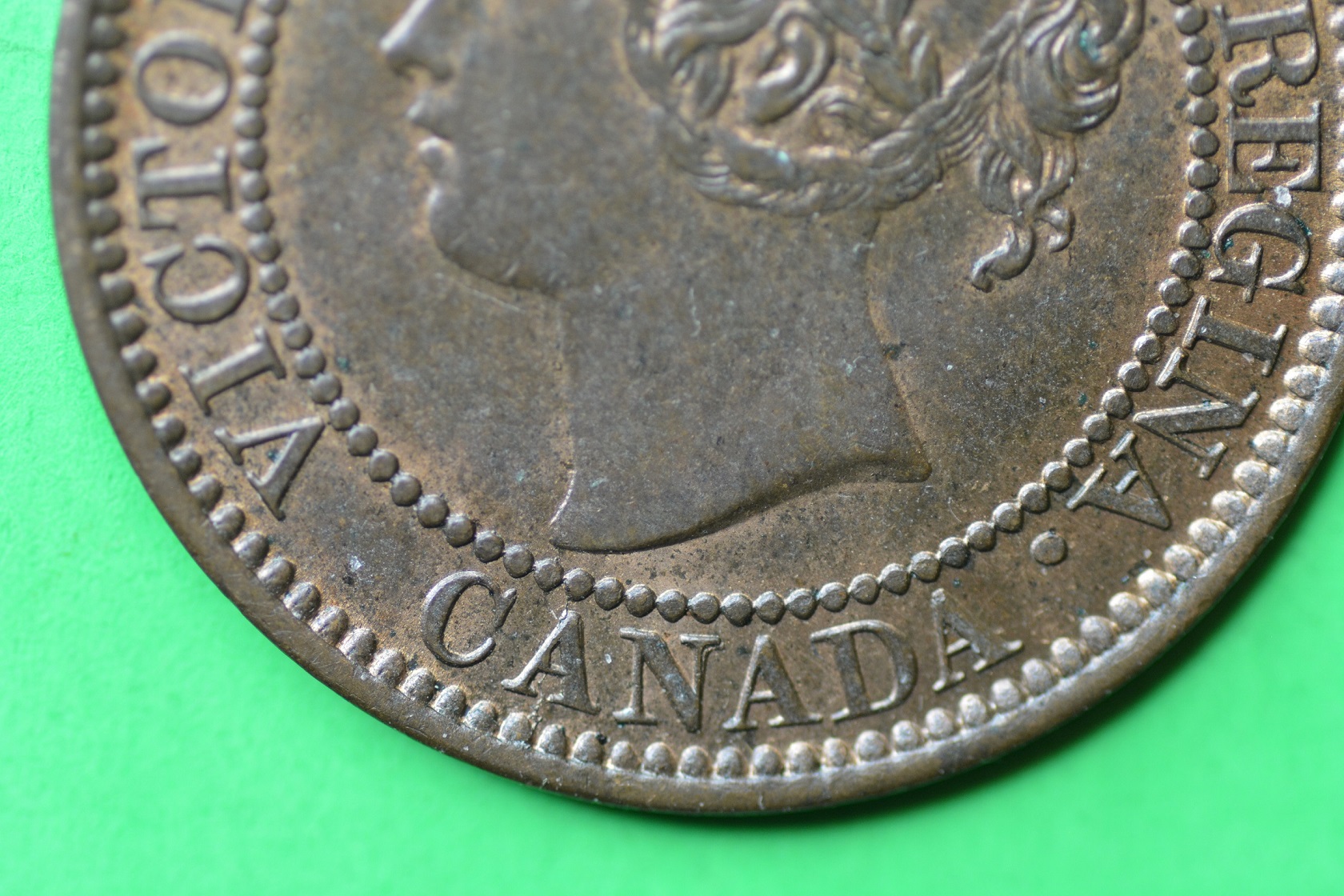 1 cent 1859 MS65 2 26-01-19 008.JPG