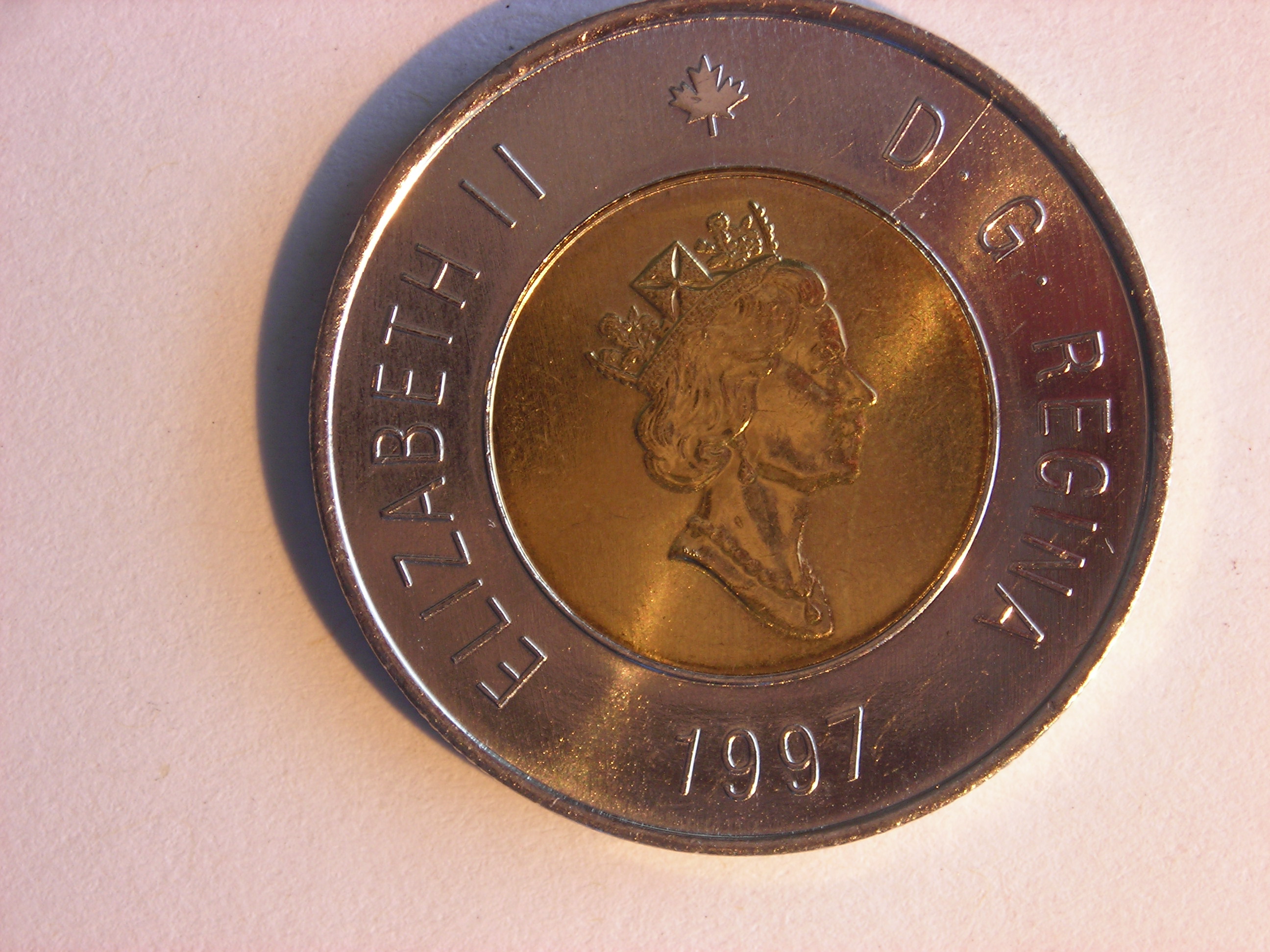 DSCN5254.JPG