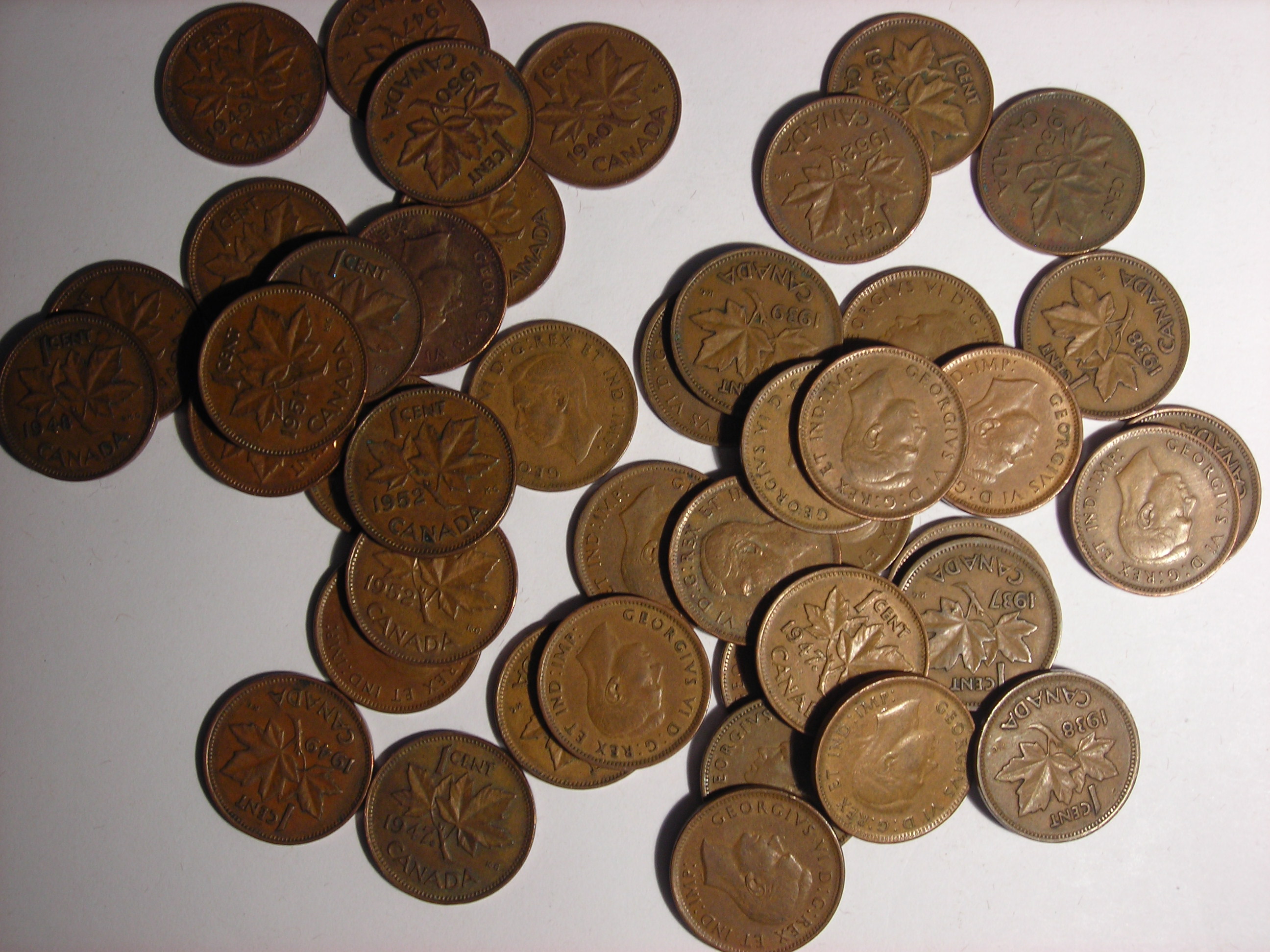 DSCN5288.JPG