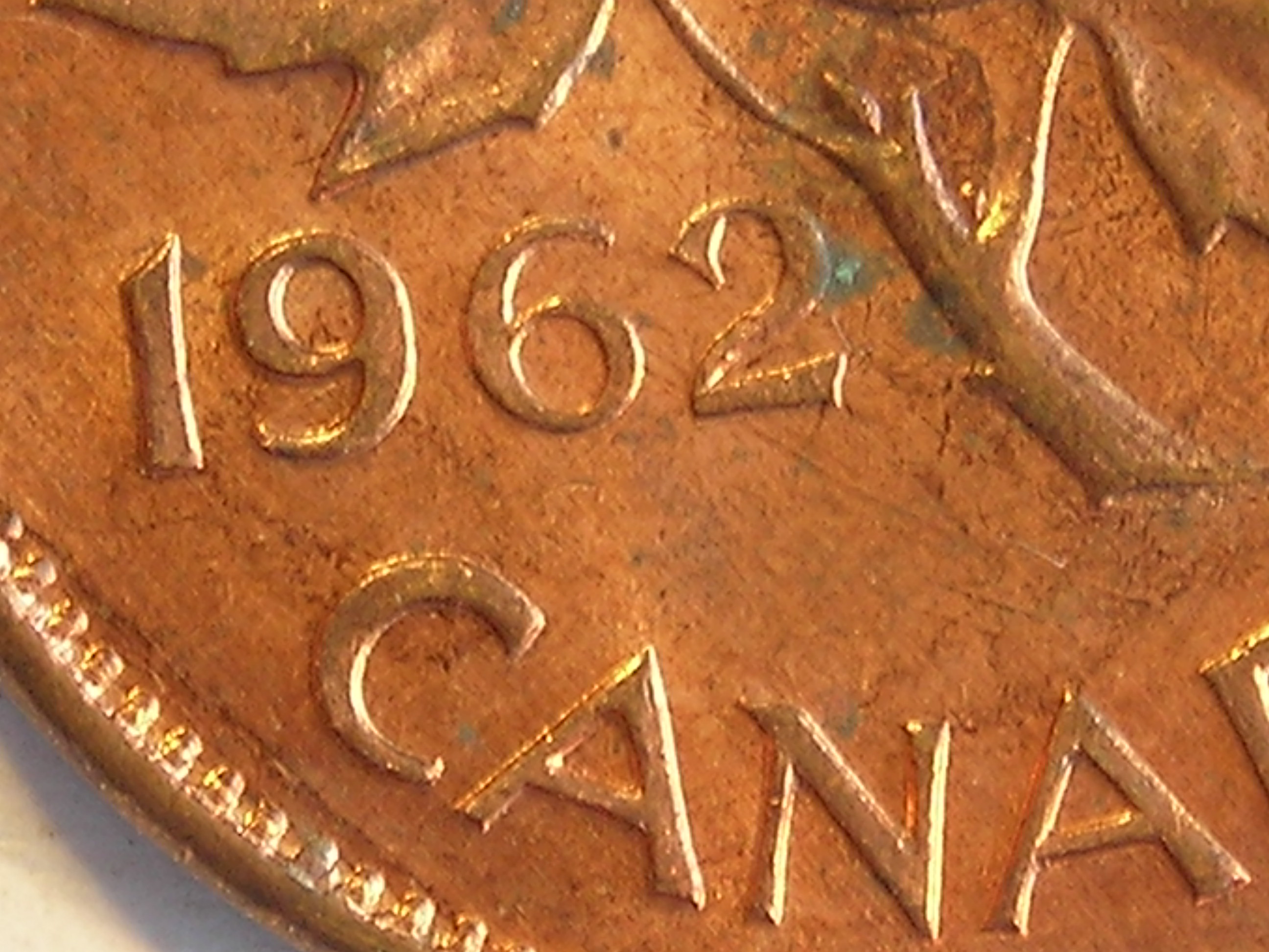 DSCN5294.JPG
