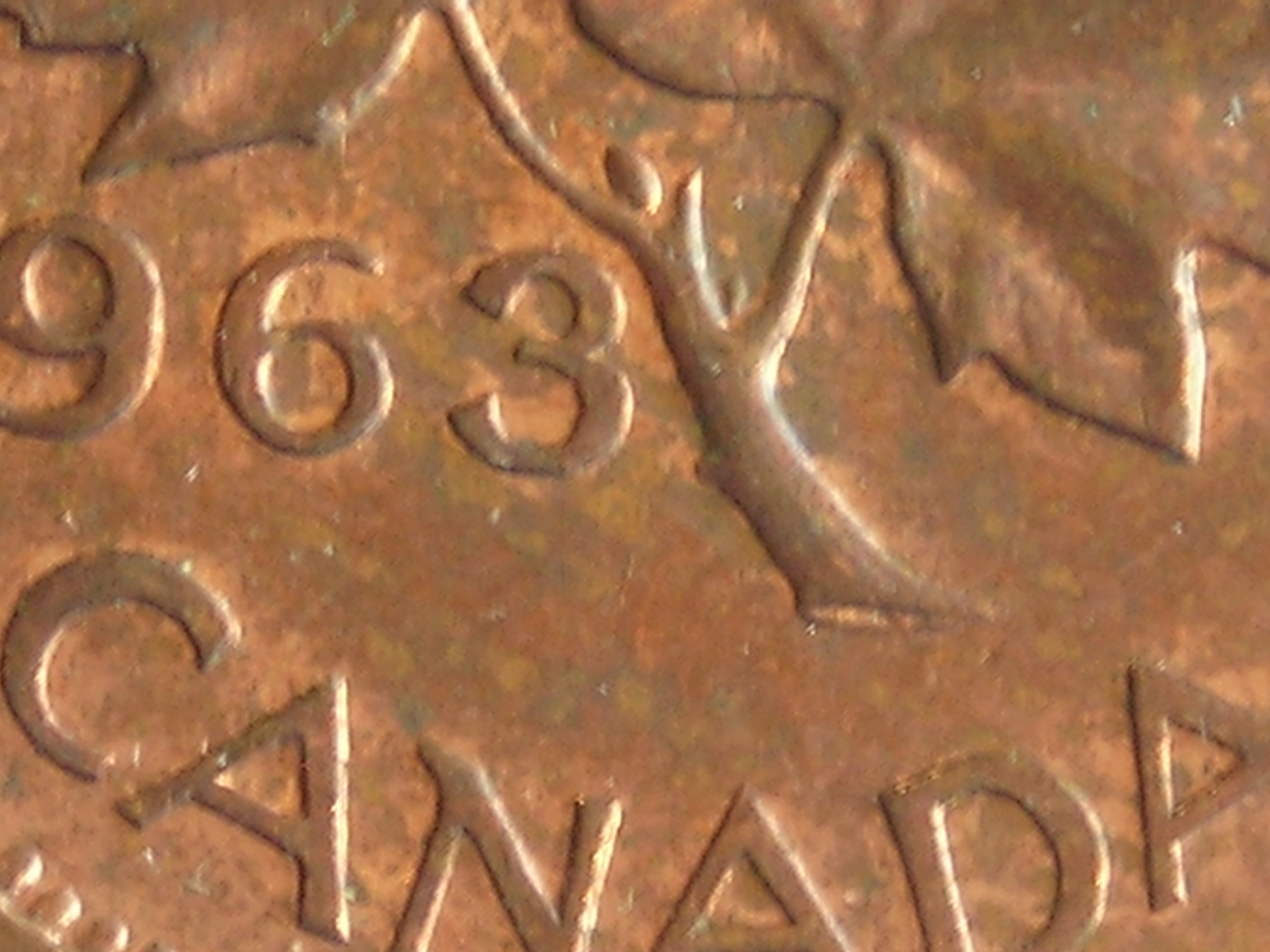 DSCN5293.JPG