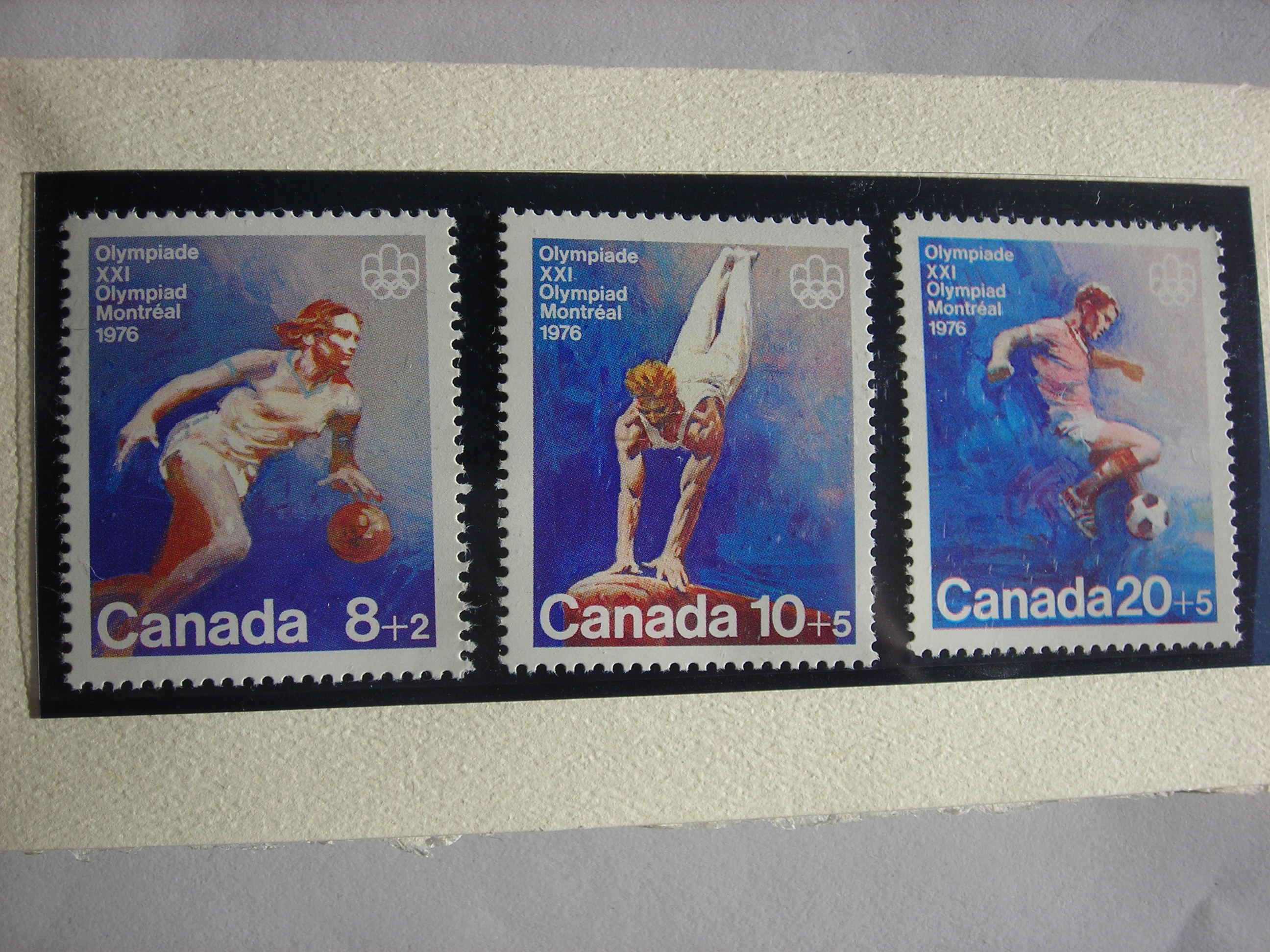 DSCN5304.JPG
