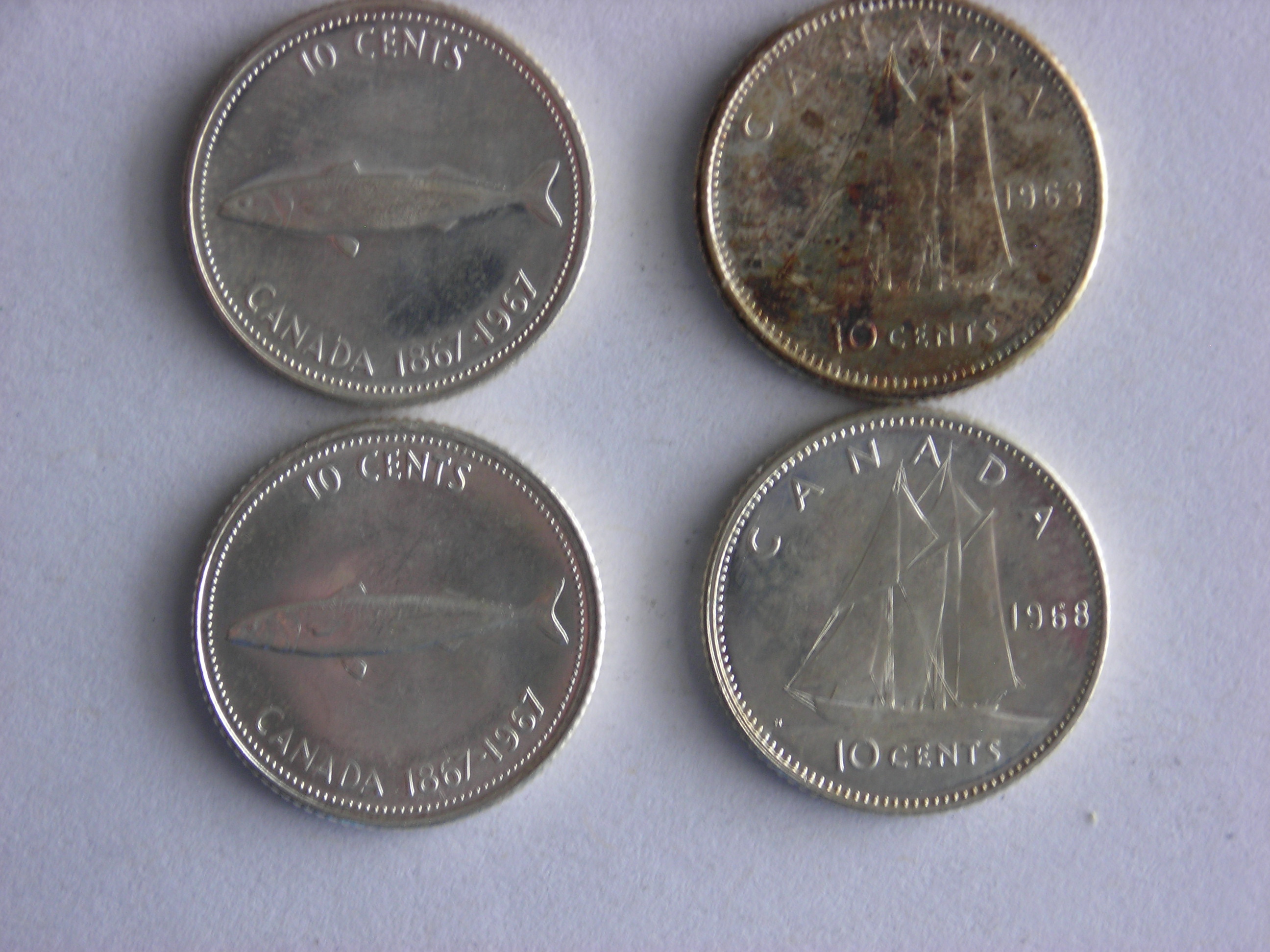 DSCN5332.JPG