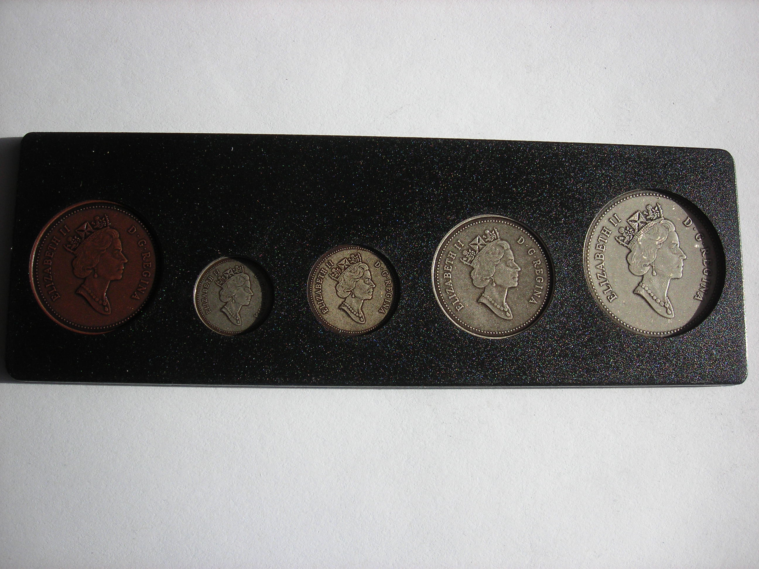 DSCN5348.JPG