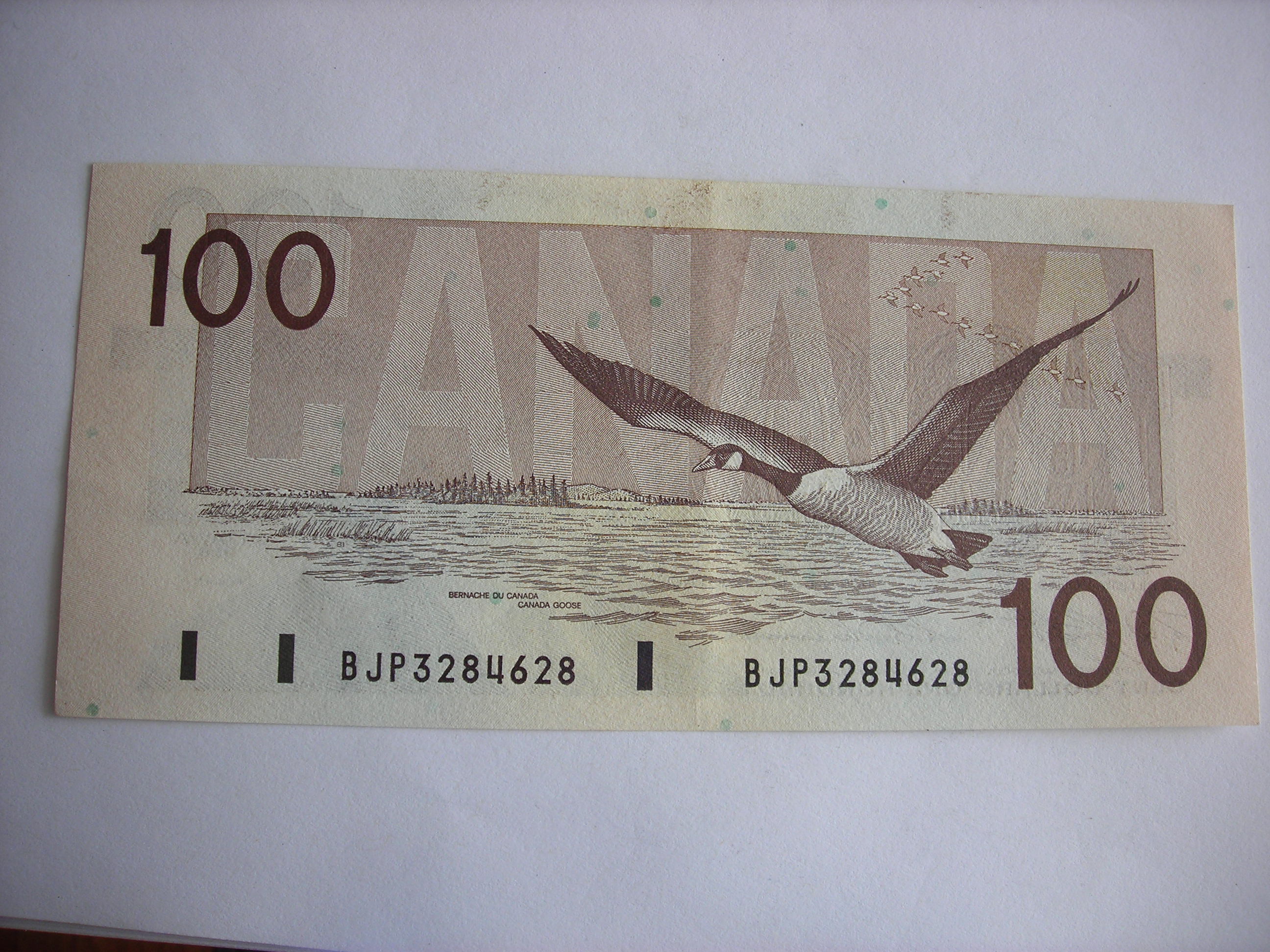 DSCN5358.JPG
