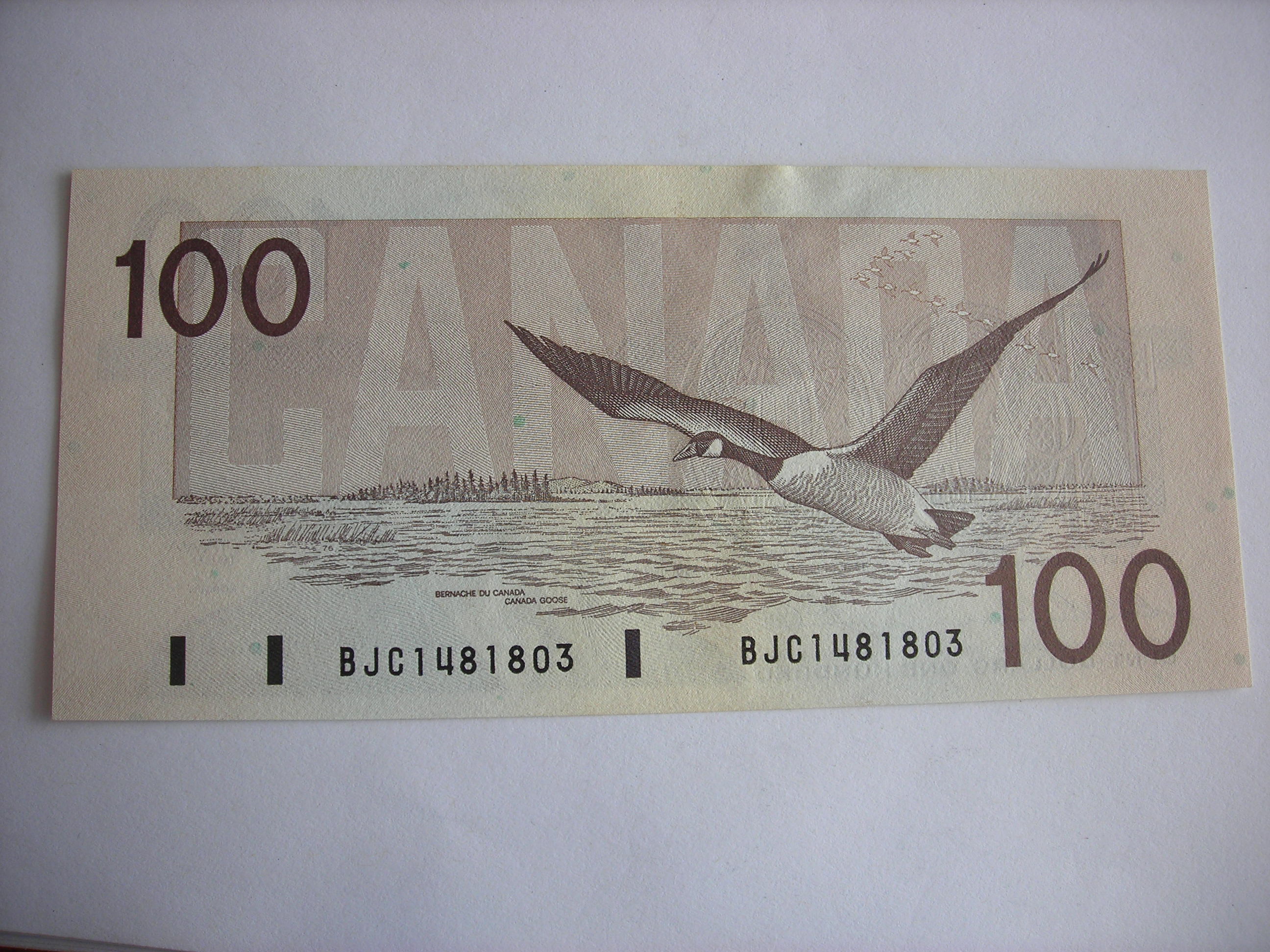 DSCN5360.JPG