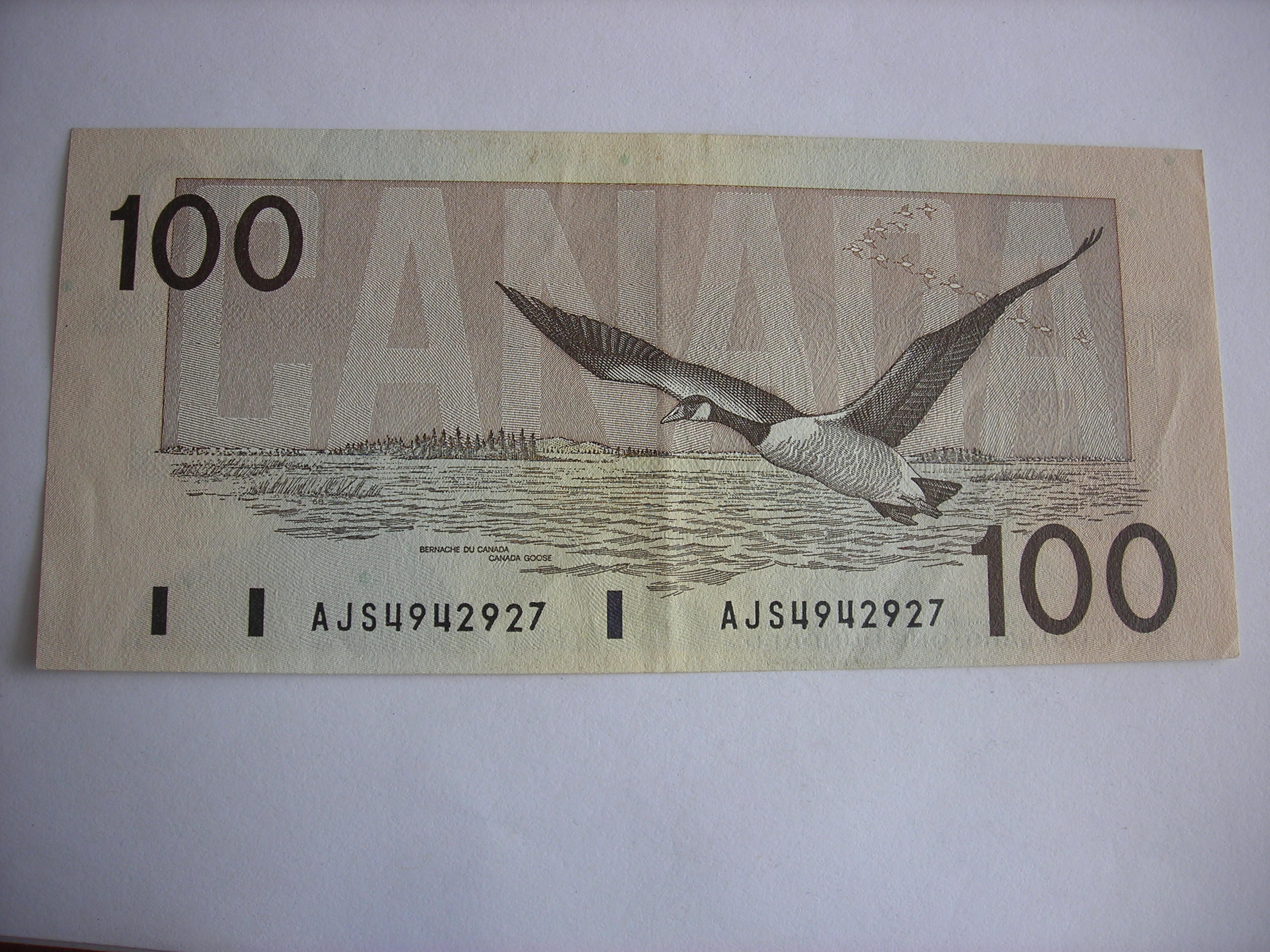 DSCN5363.JPG