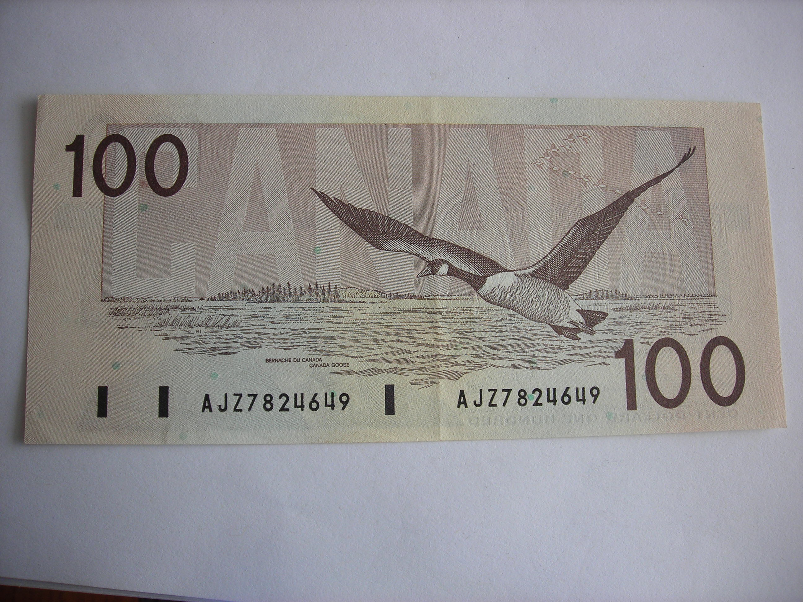 DSCN5364.JPG