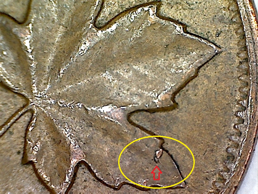 1964 Écl. sur feuille de dr. B019021C.jpg