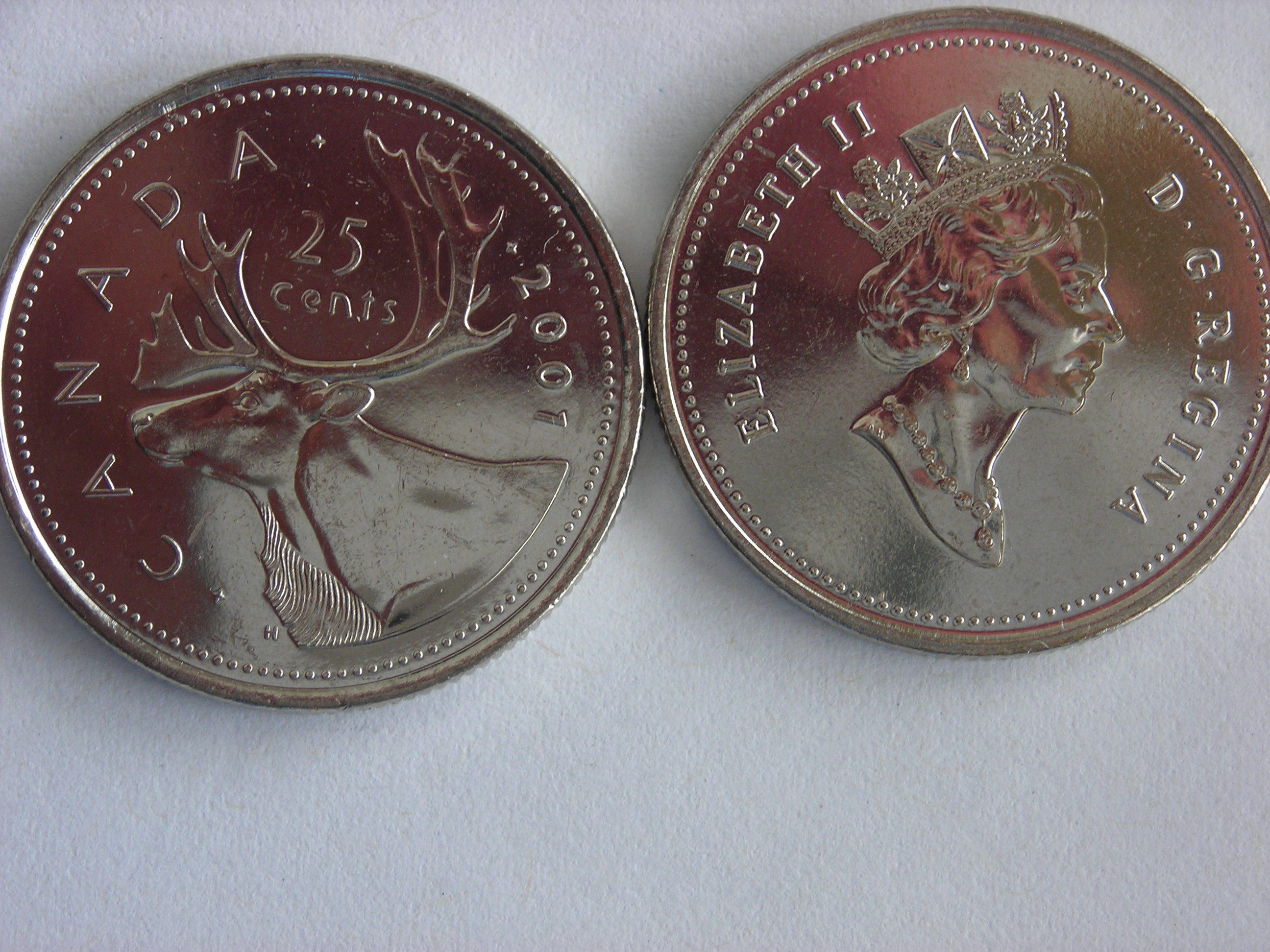 DSCN5425.JPG