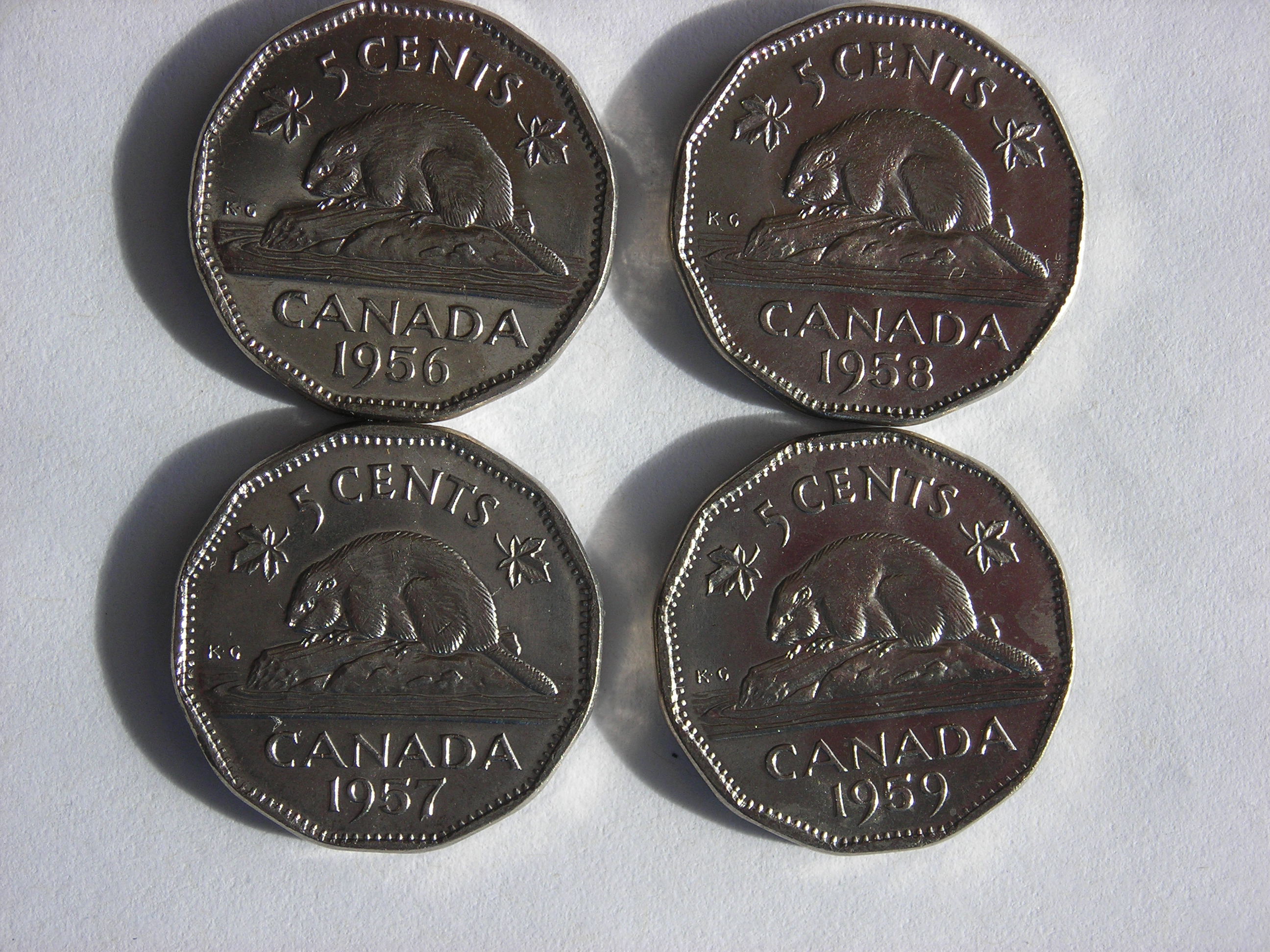 DSCN5444.JPG