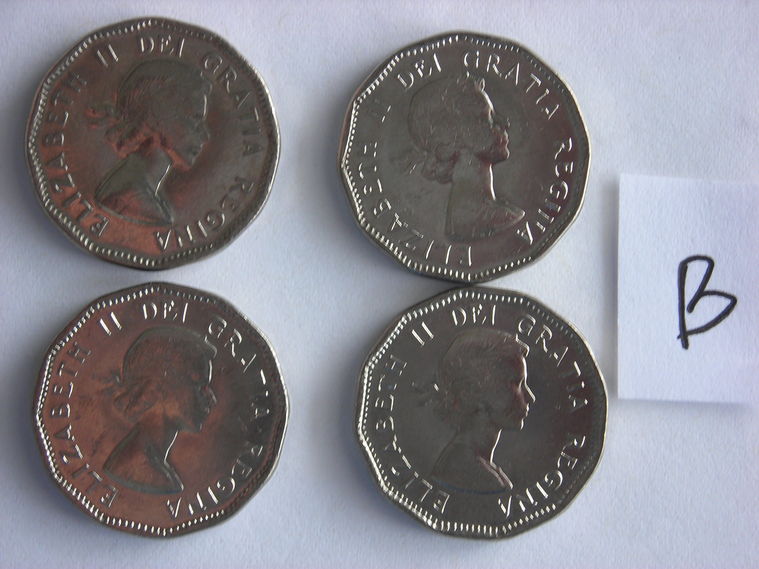 DSCN5448.JPG