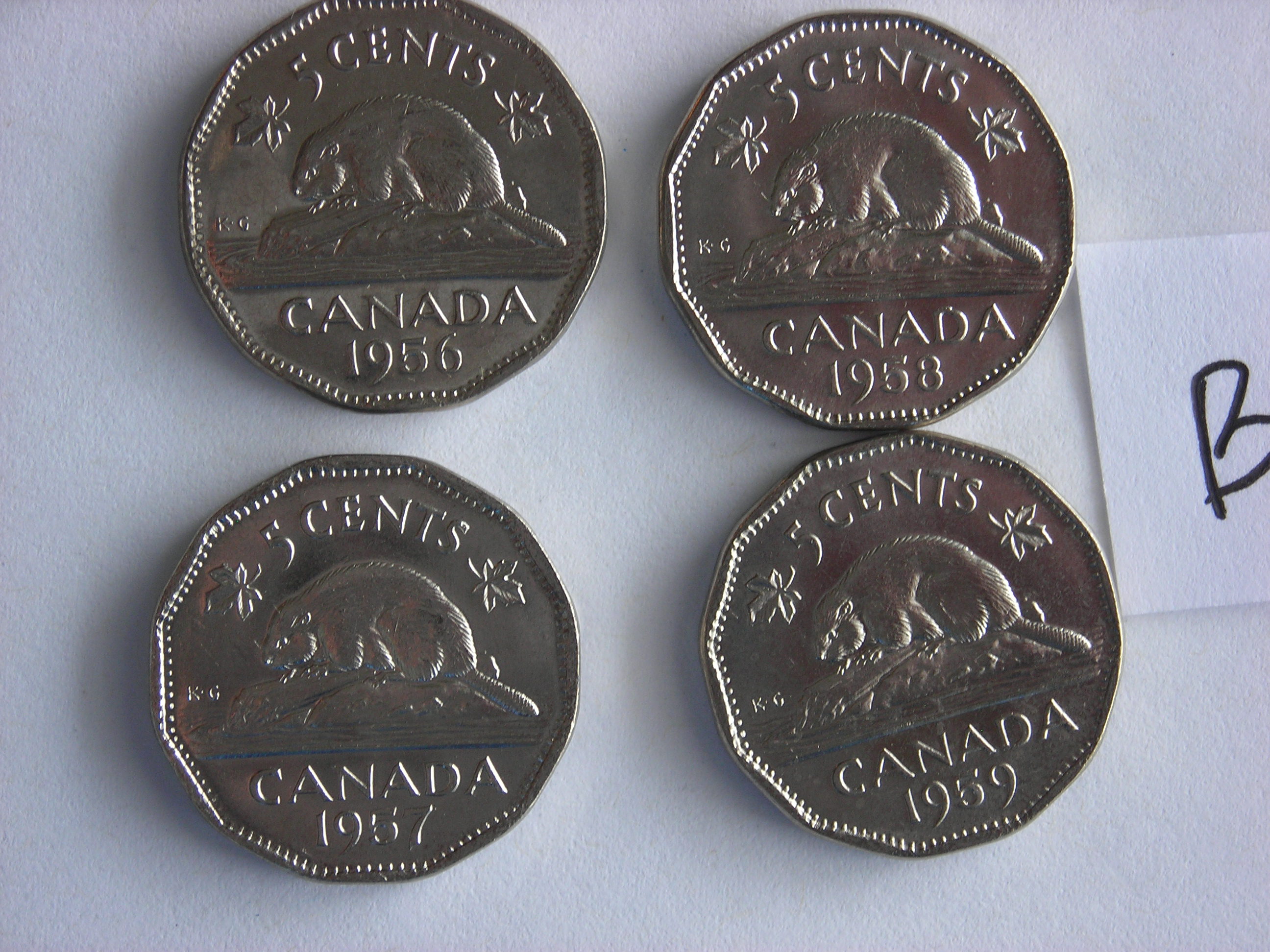 DSCN5447.JPG