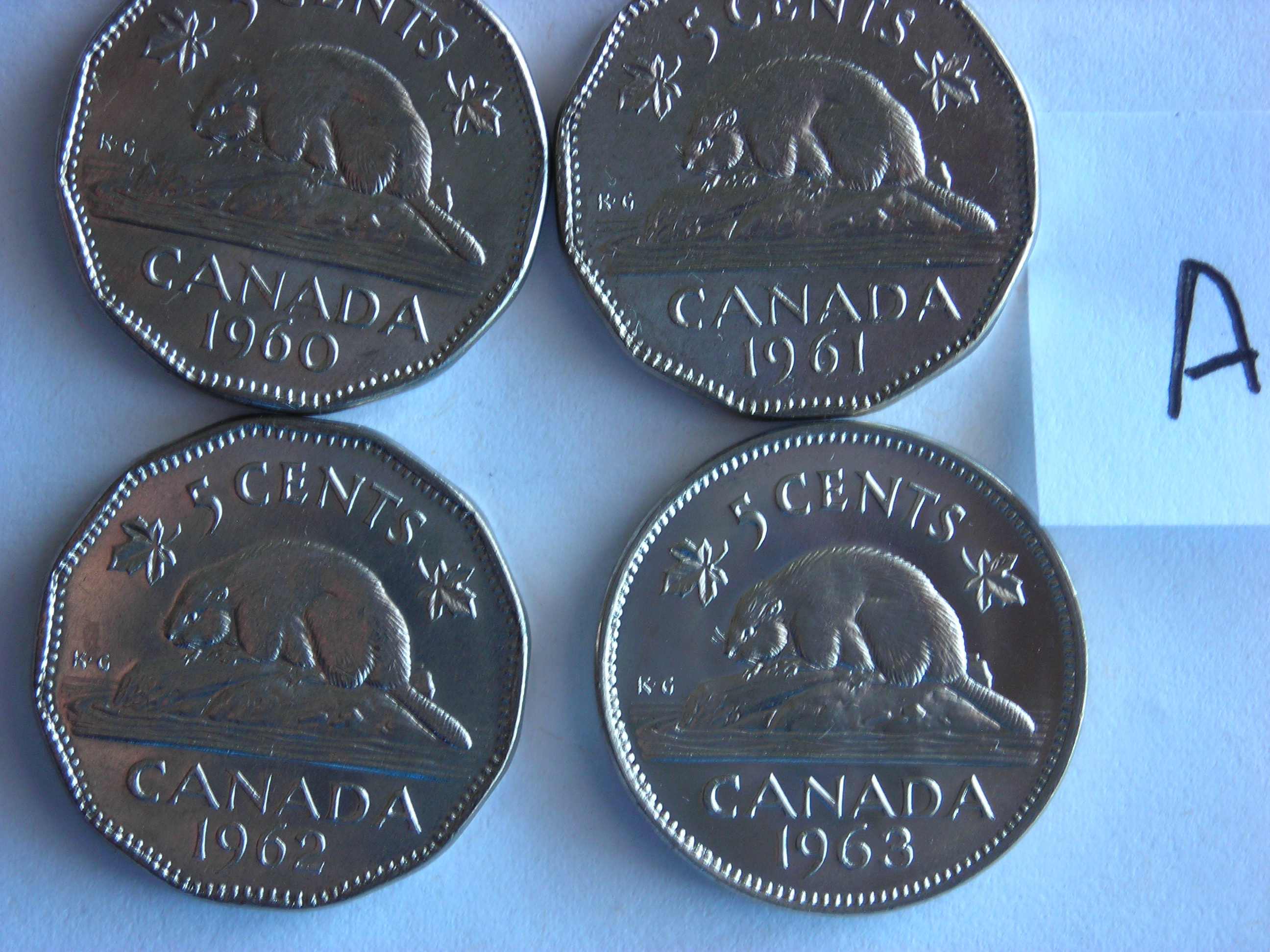 DSCN5450.JPG