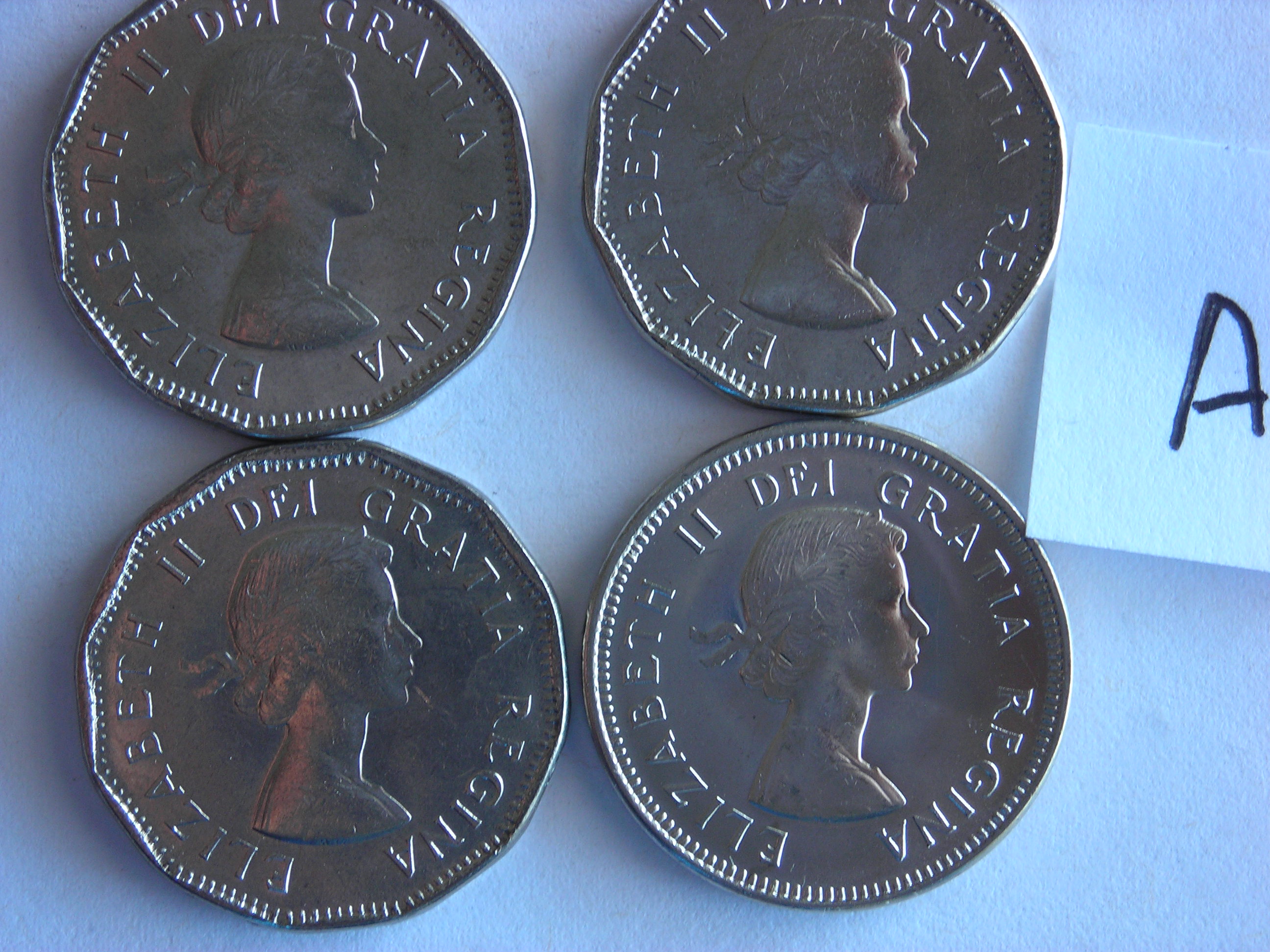 DSCN5451.JPG