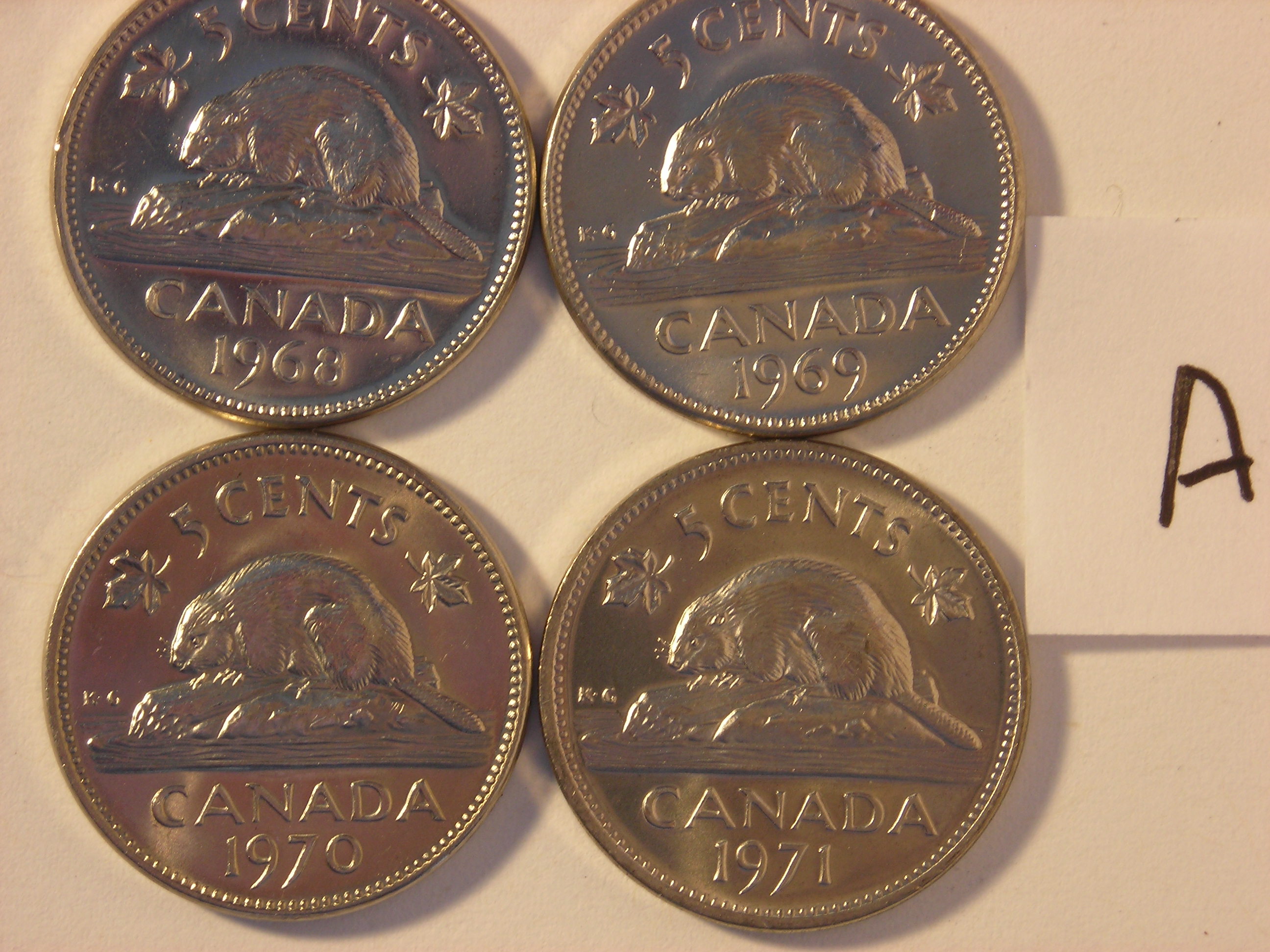 DSCN5473.JPG