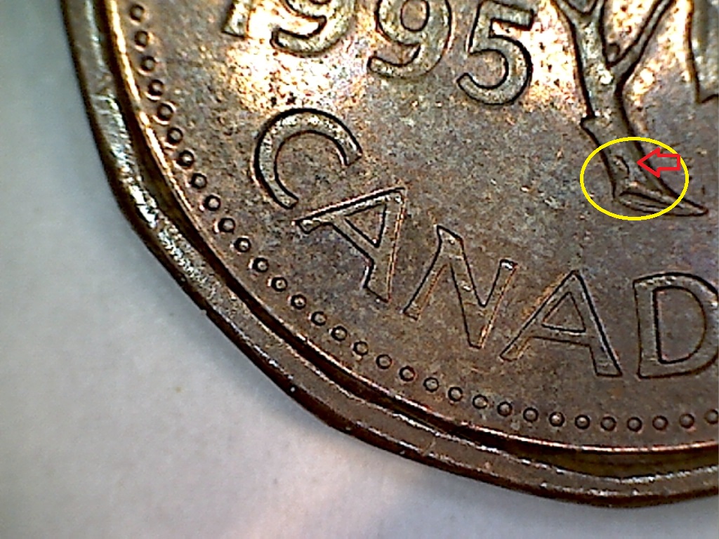 1995 Éclat sur la tige B019088C.jpg