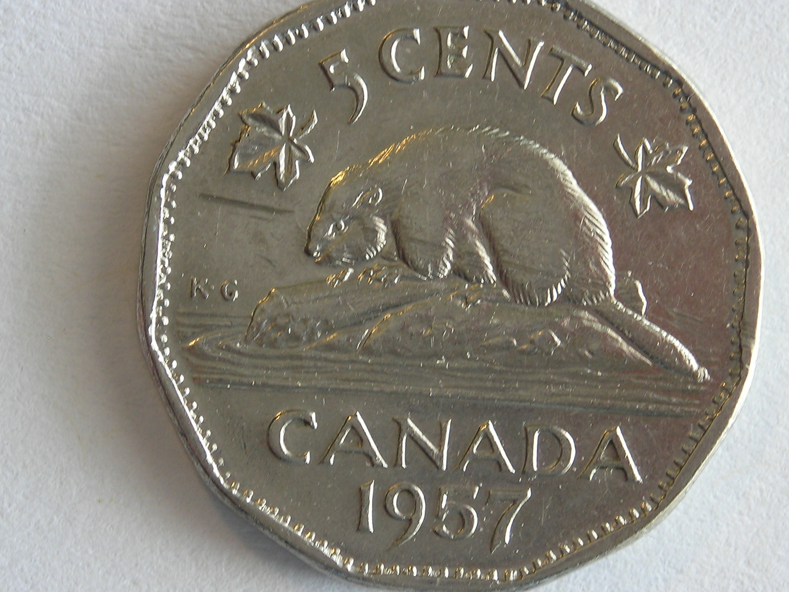 DSCN5537.JPG