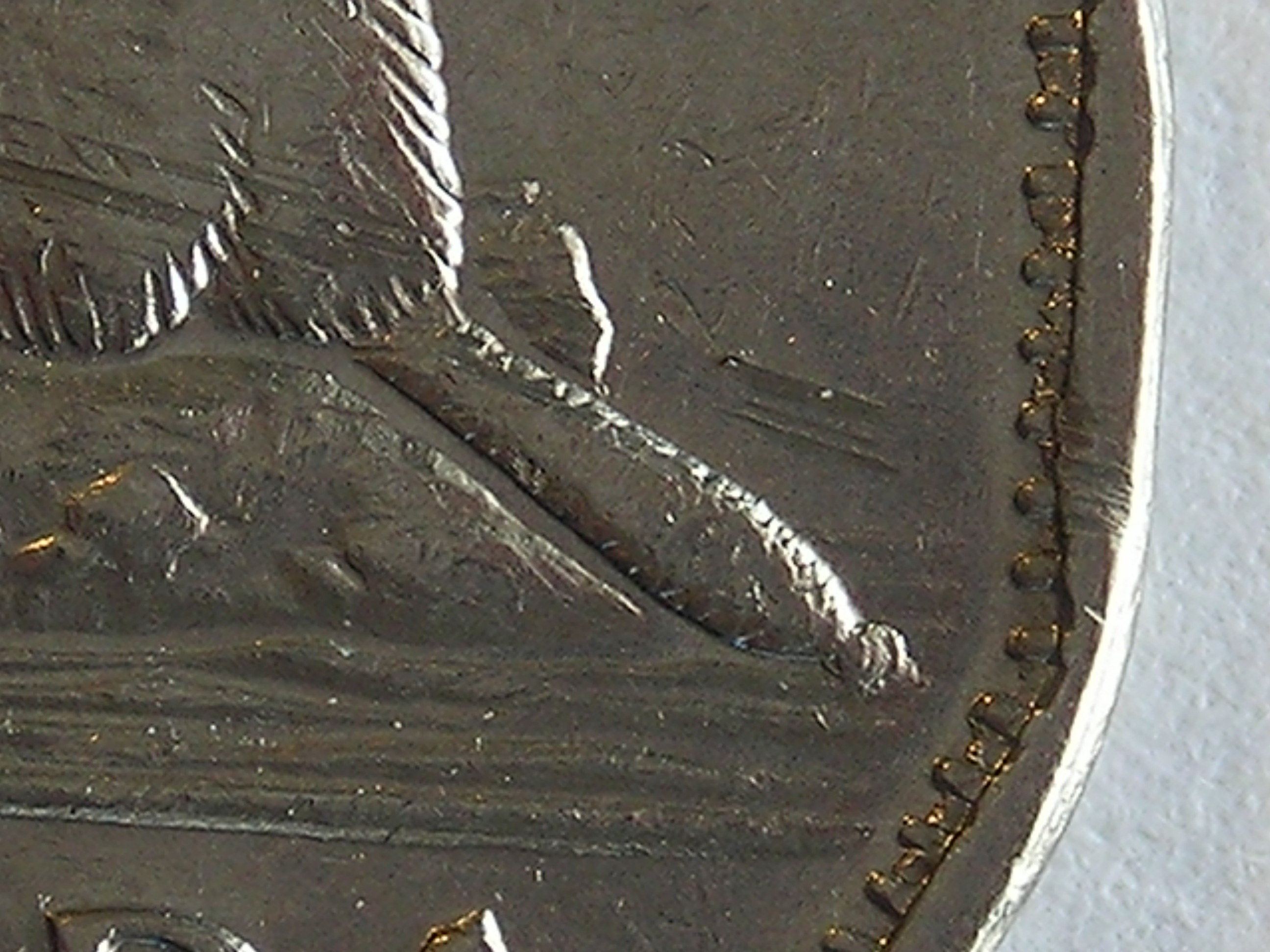 DSCN5539.JPG