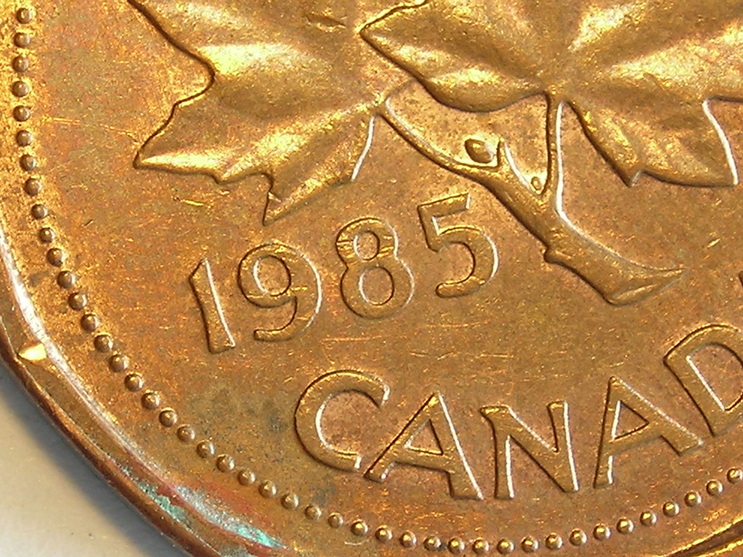 DSCN5544.JPG