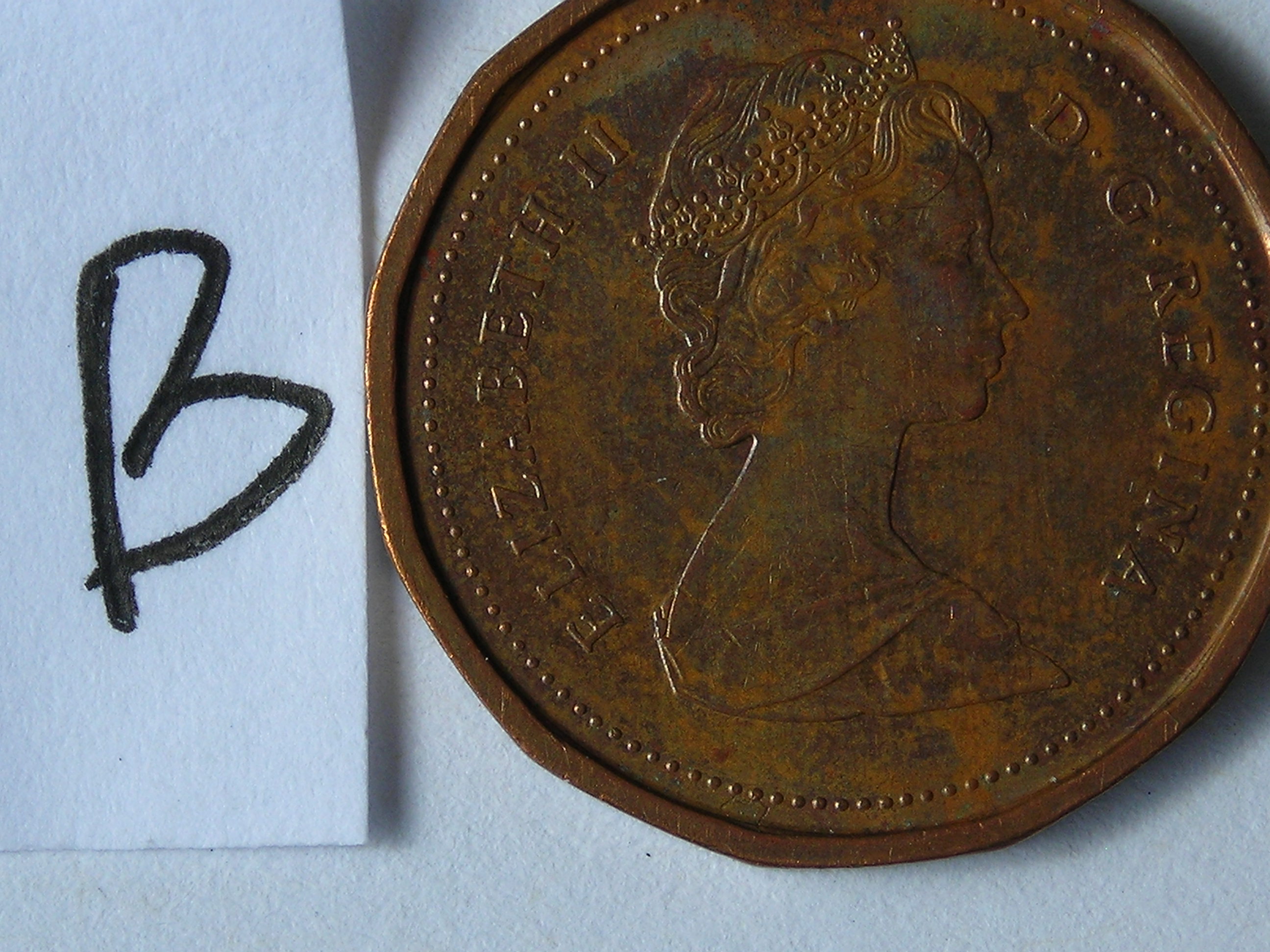 DSCN5556.JPG