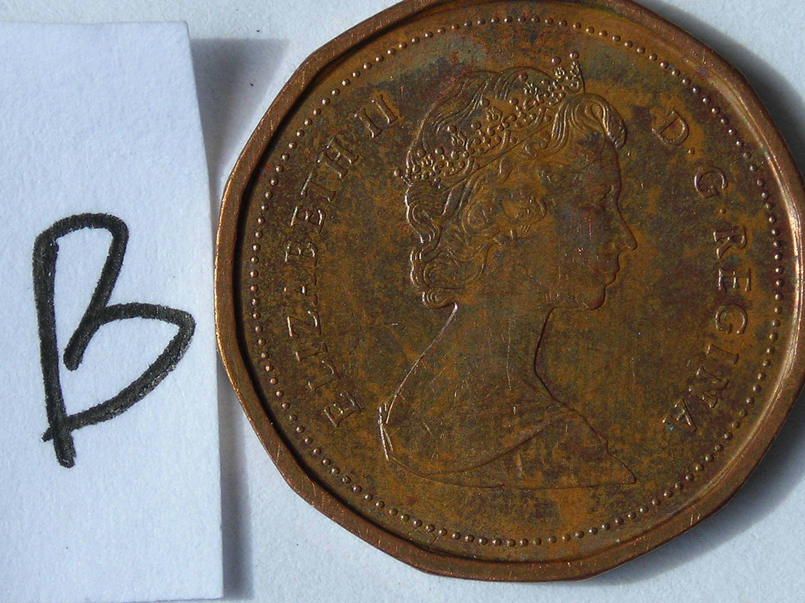 DSCN5555.JPG