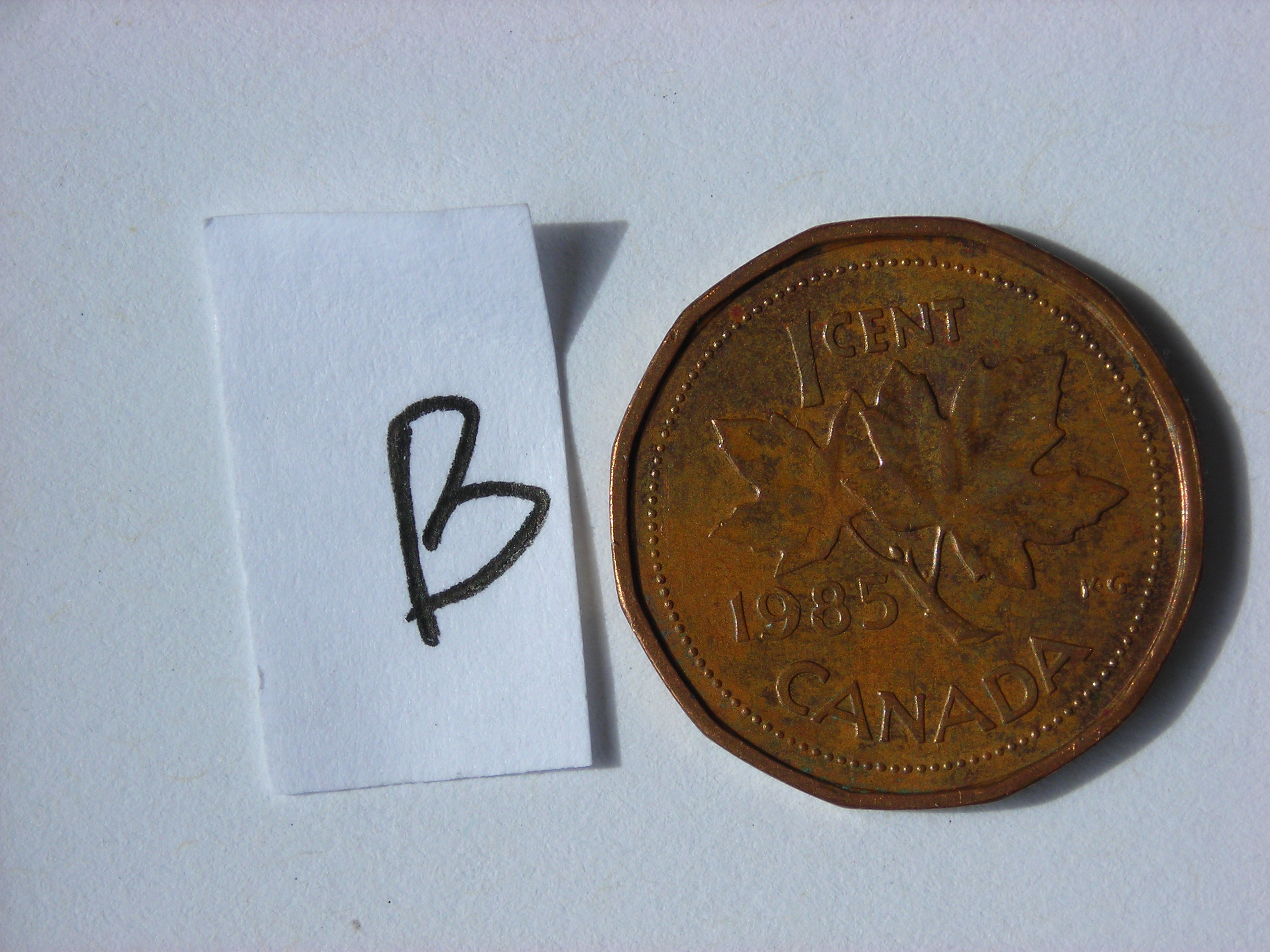 DSCN5552.JPG