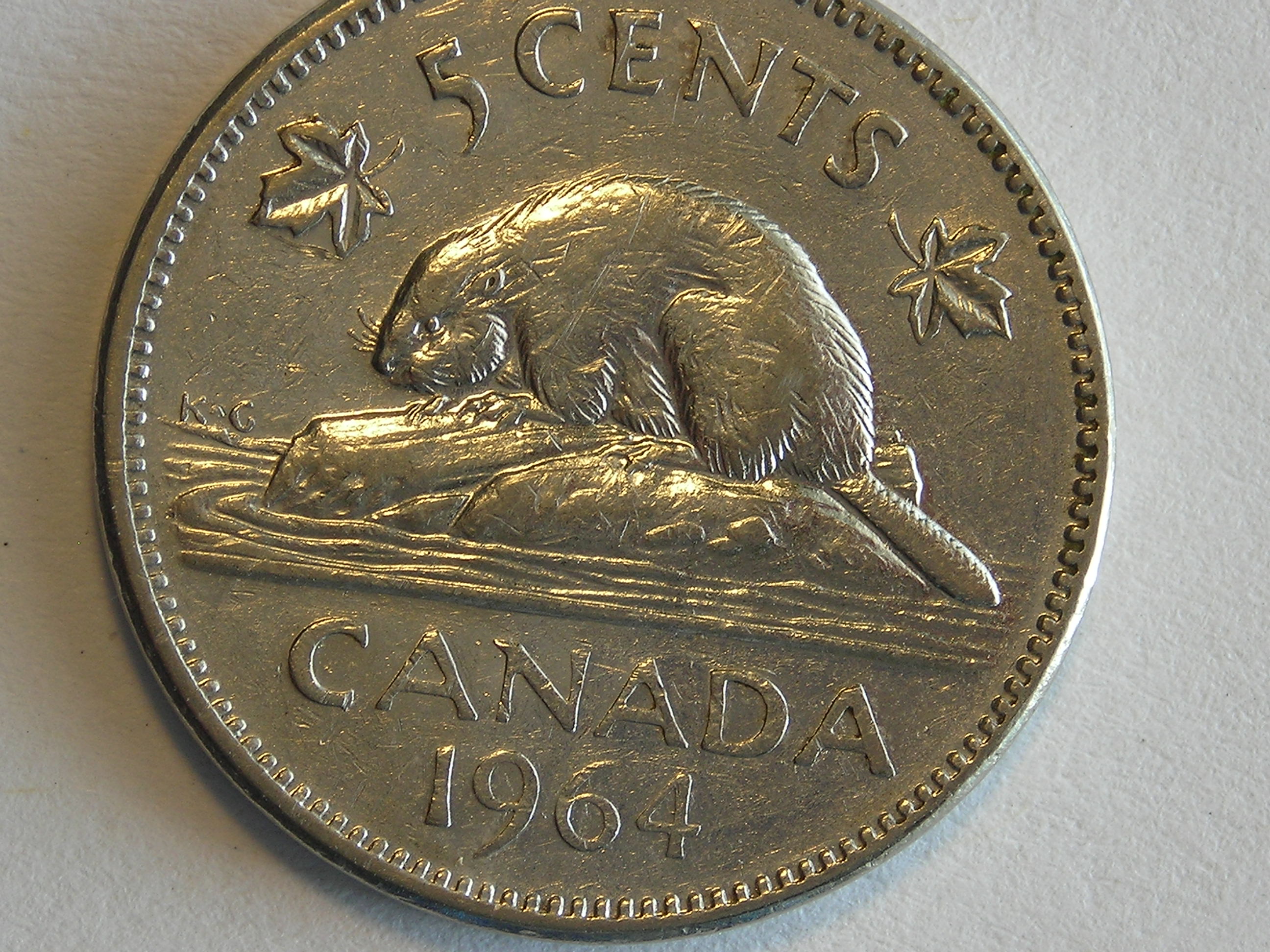 DSCN5540.JPG