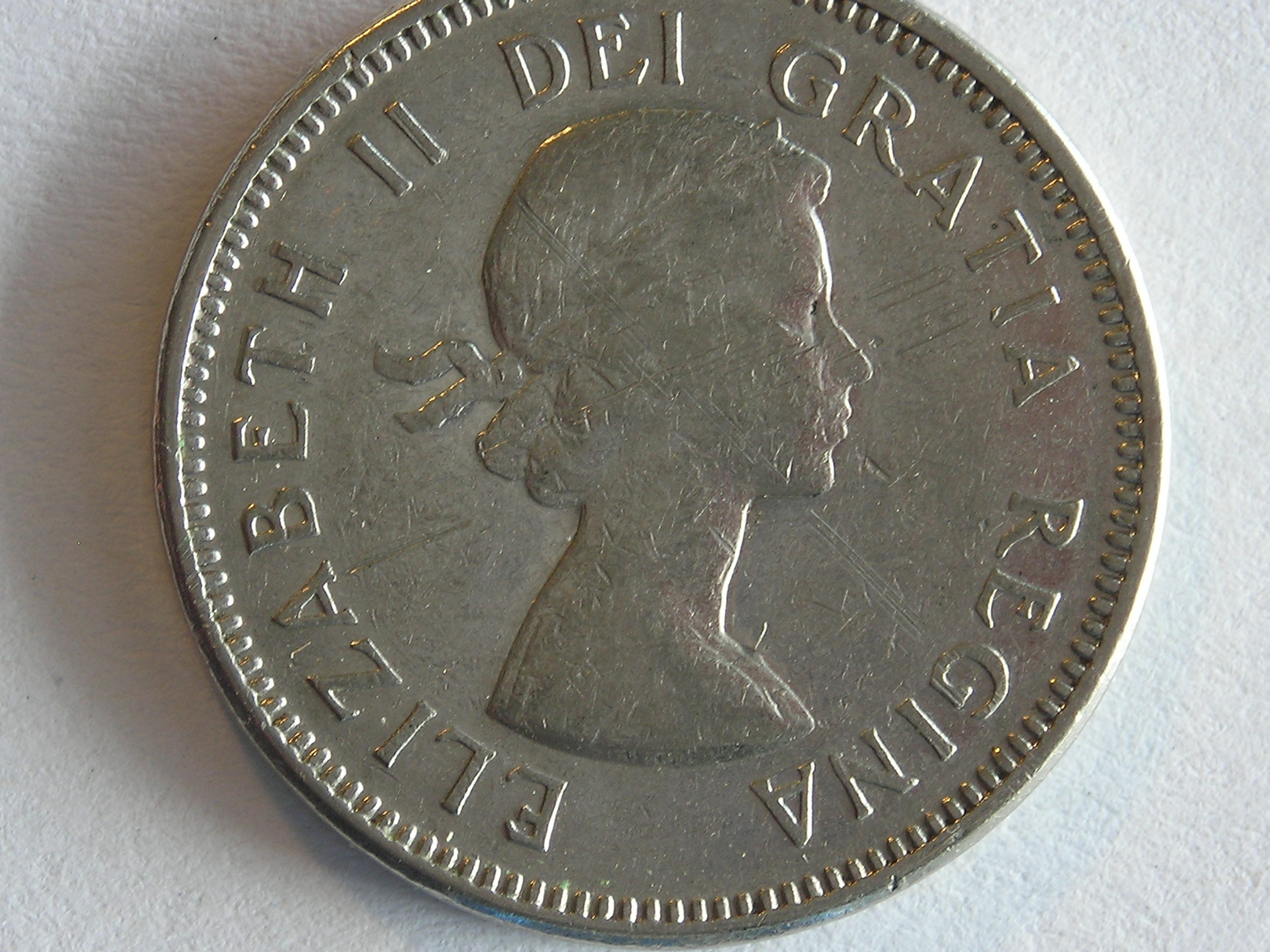 DSCN5542.JPG