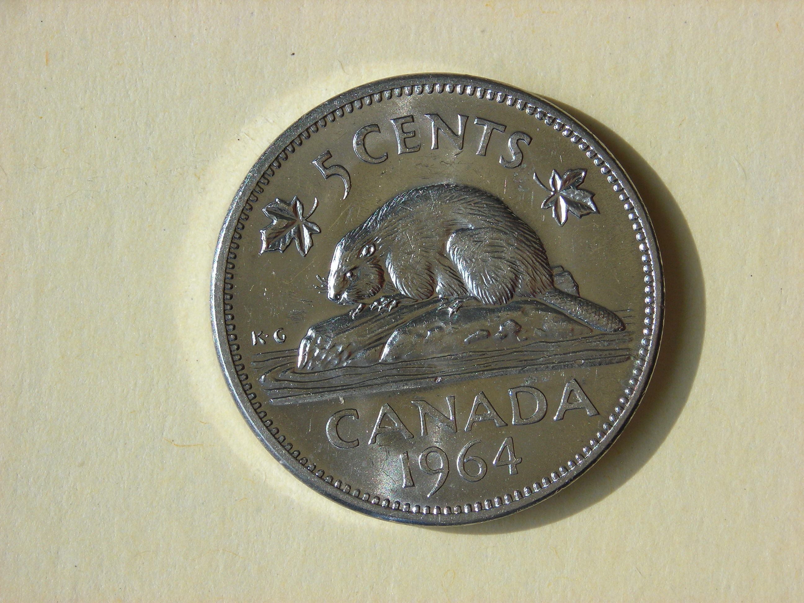 DSCN5557.JPG