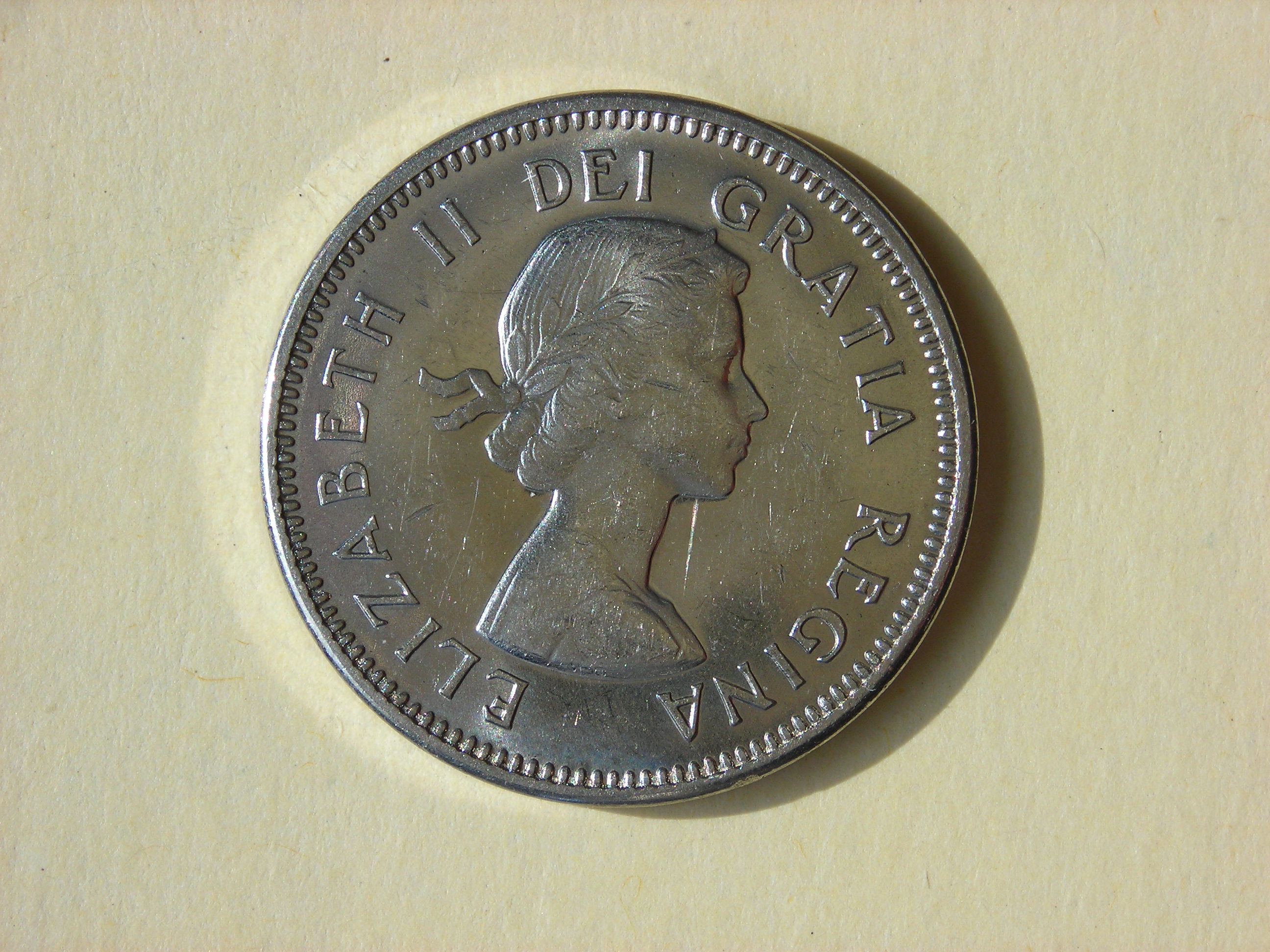 DSCN5558.JPG