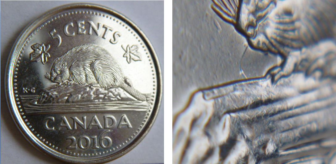 5 Cents 2016-Coin entrechoqué à la bouche du castor.JPG