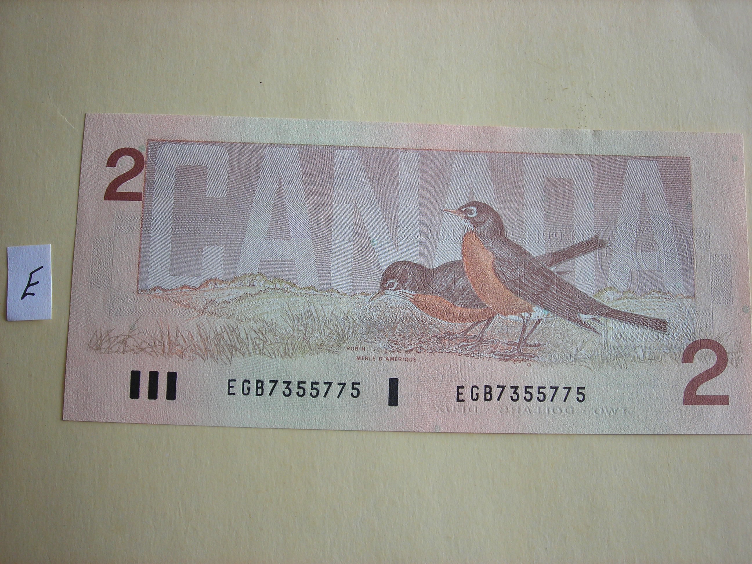 DSCN5600.JPG