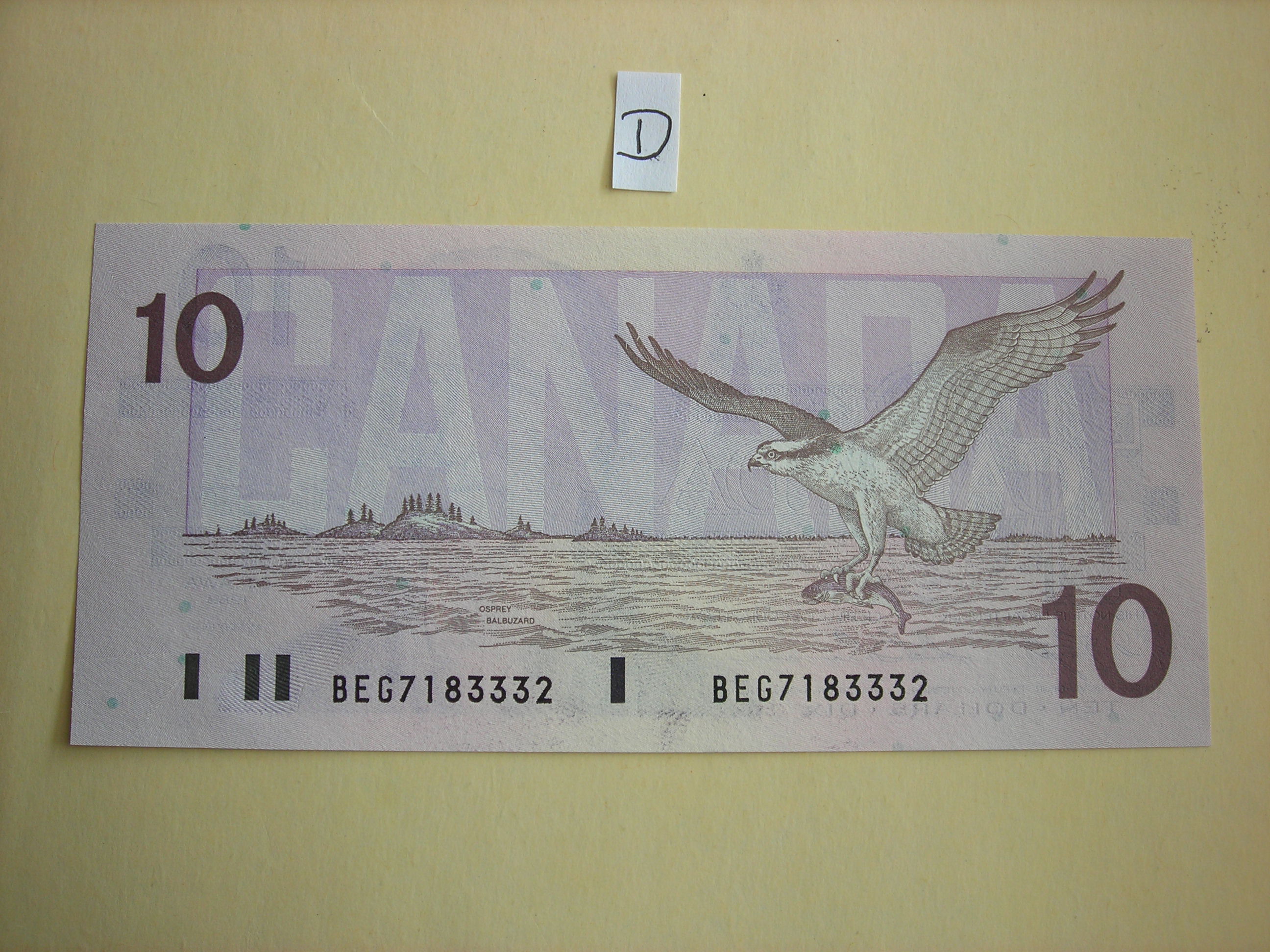 DSCN5614.JPG