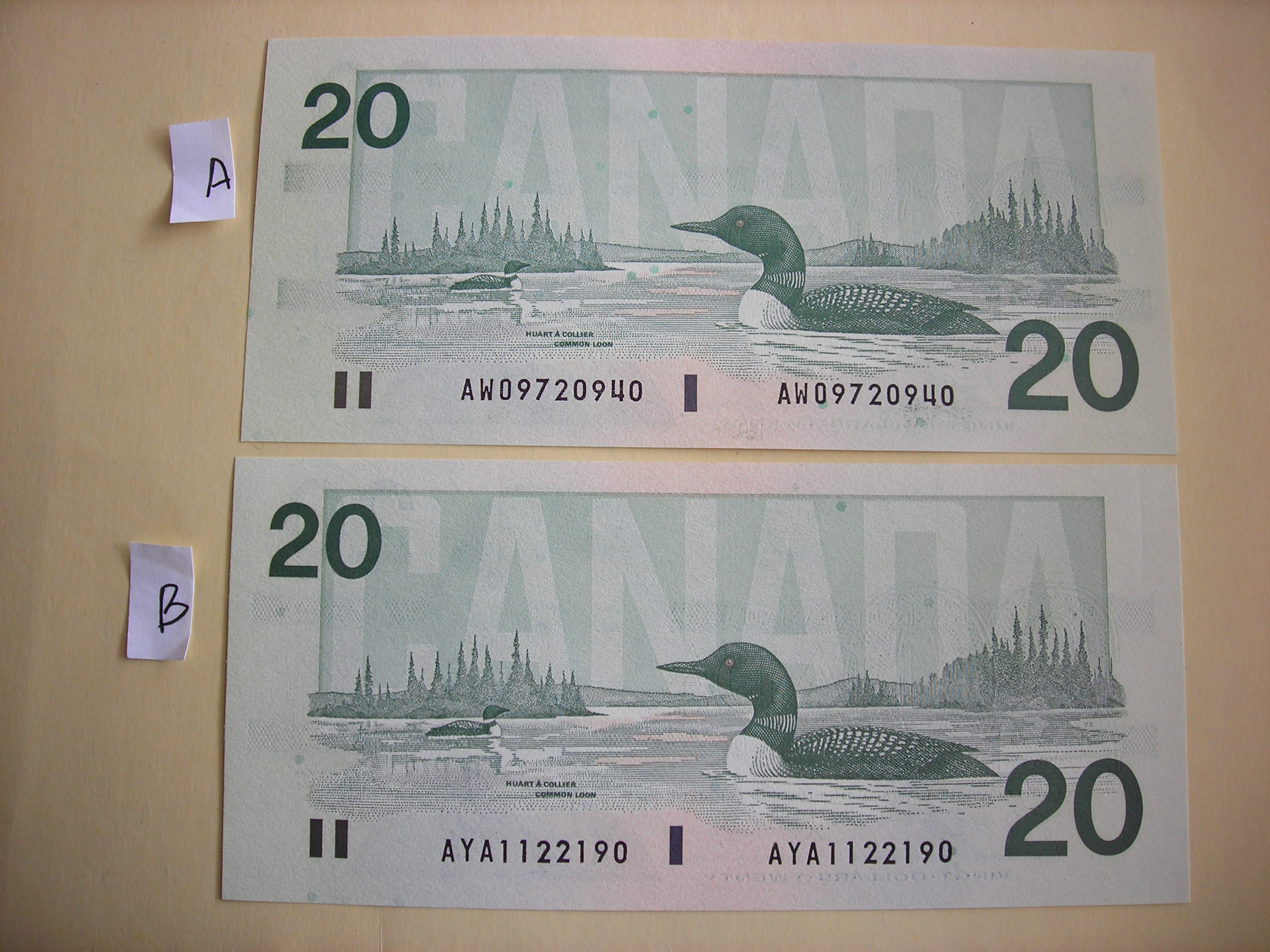 DSCN5616.JPG