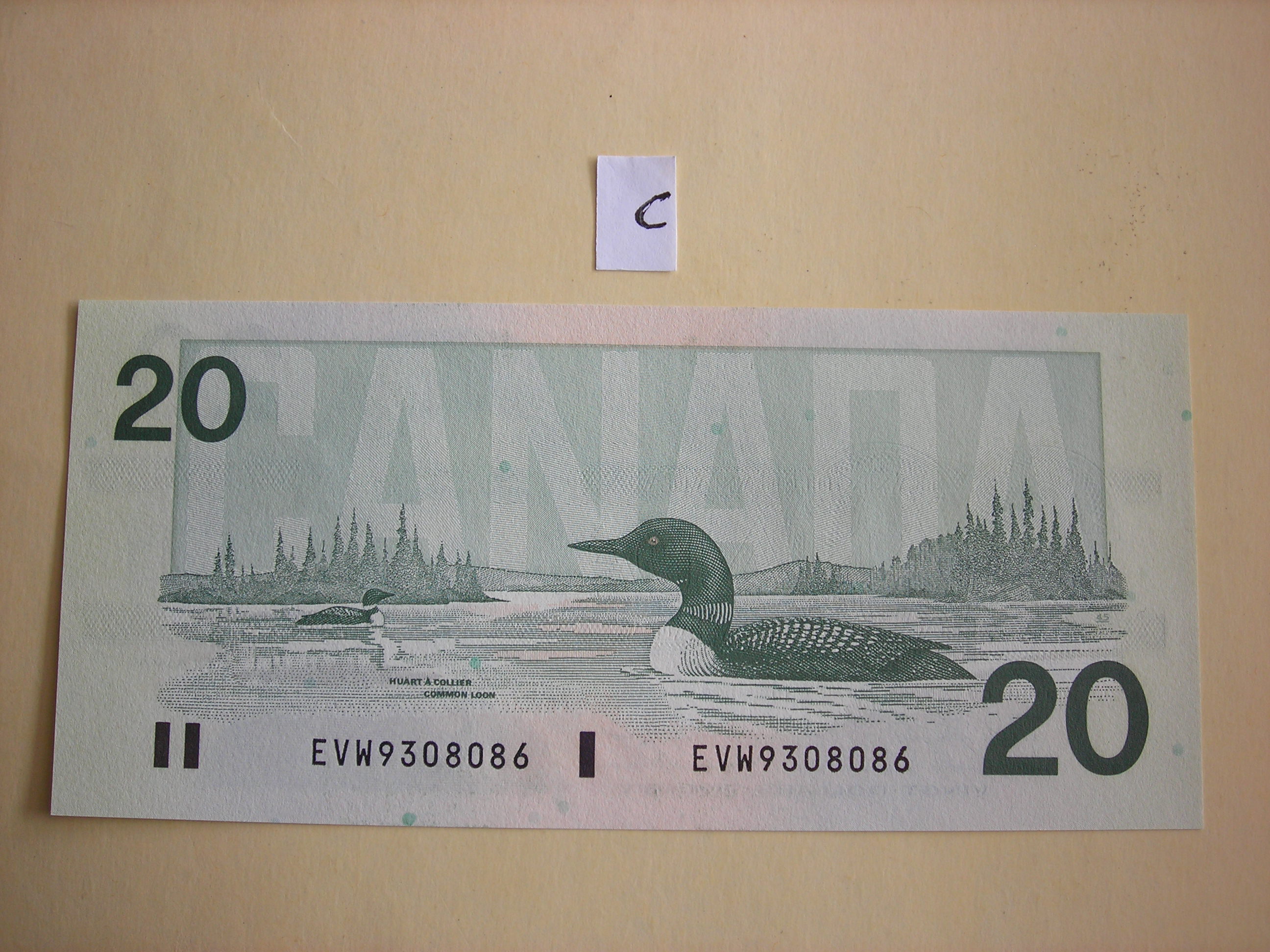 DSCN5618.JPG