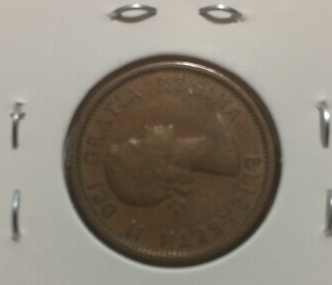 photo1.jpg