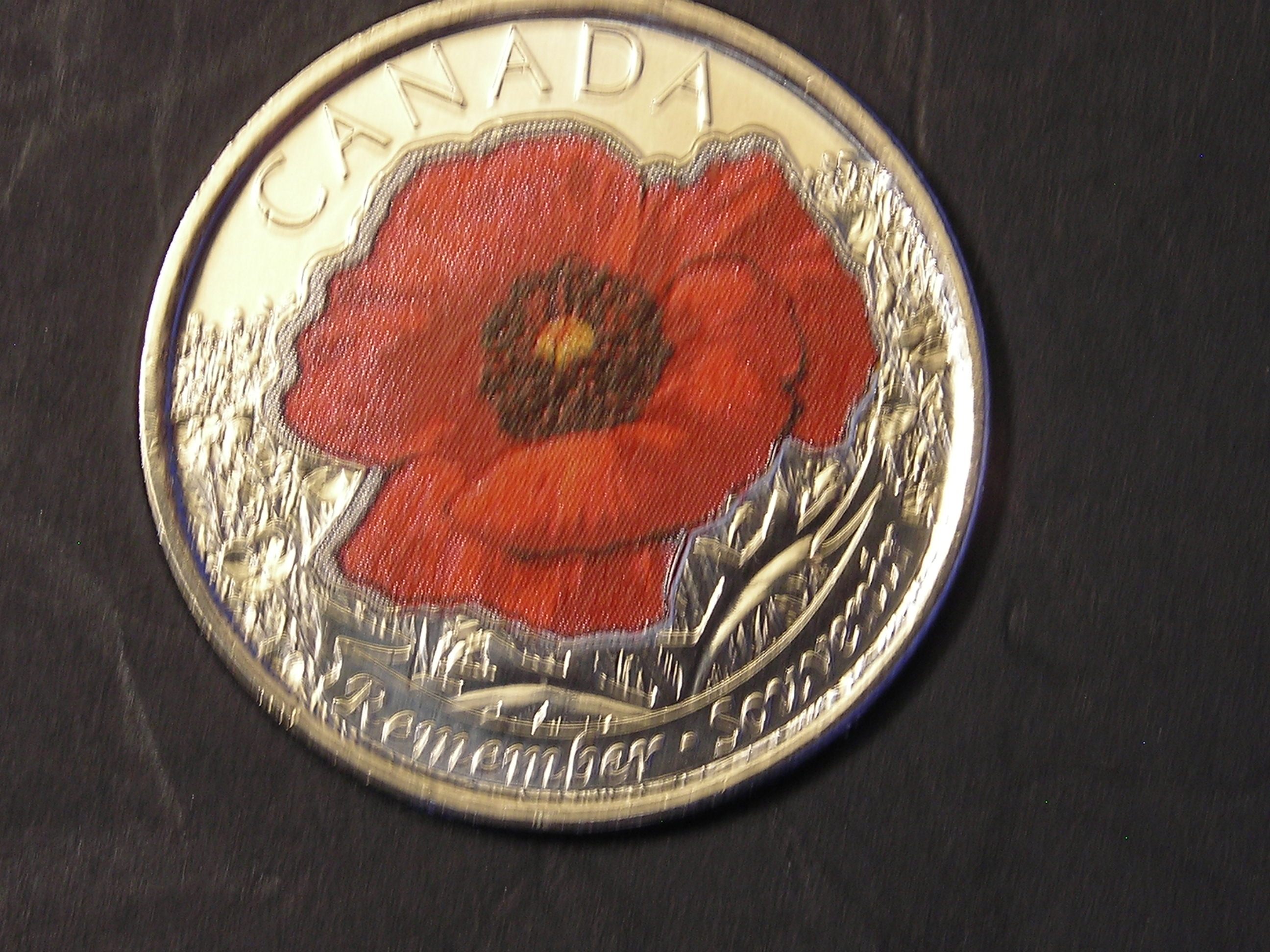 DSCN5694.JPG