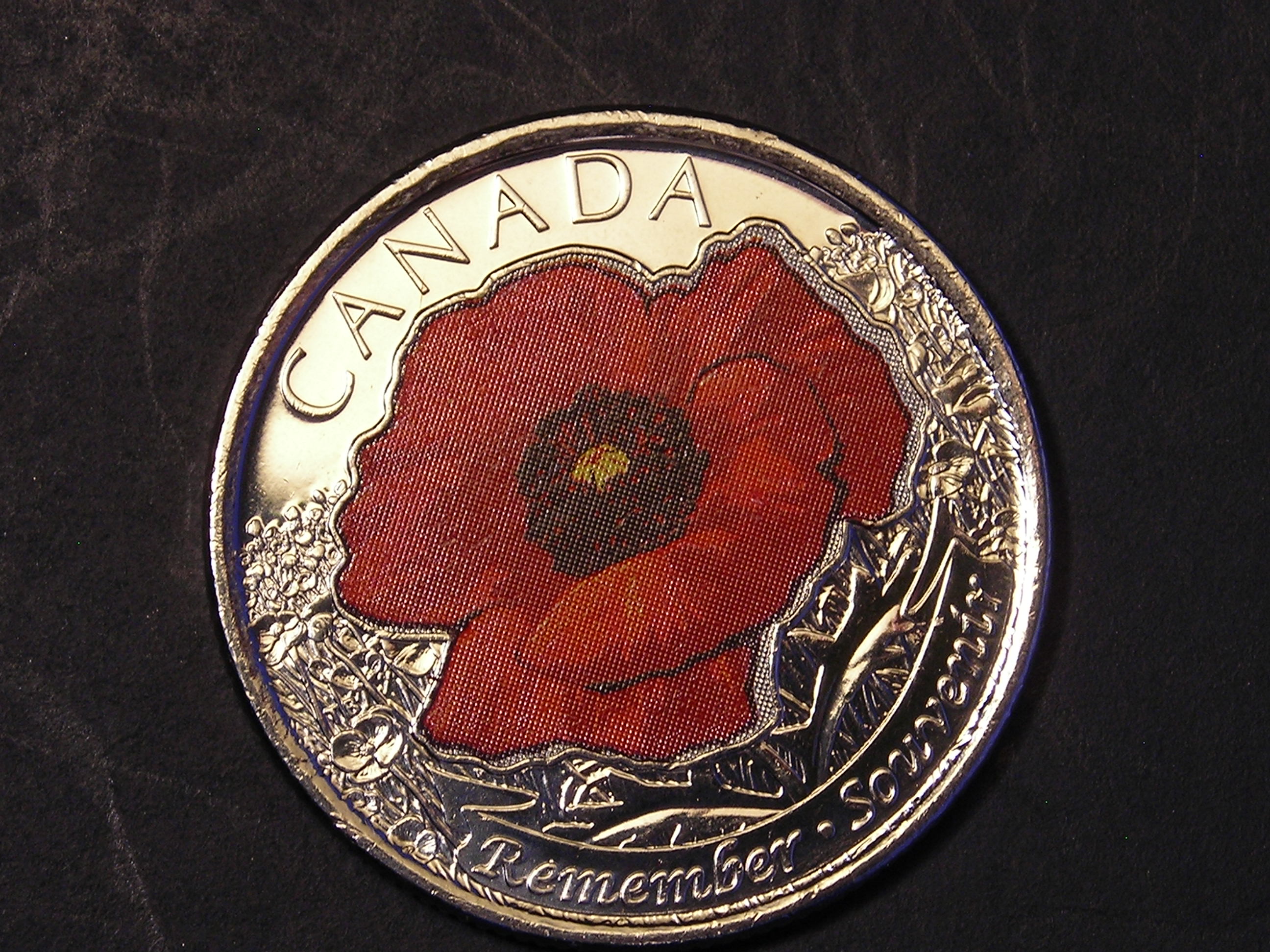DSCN5692.JPG