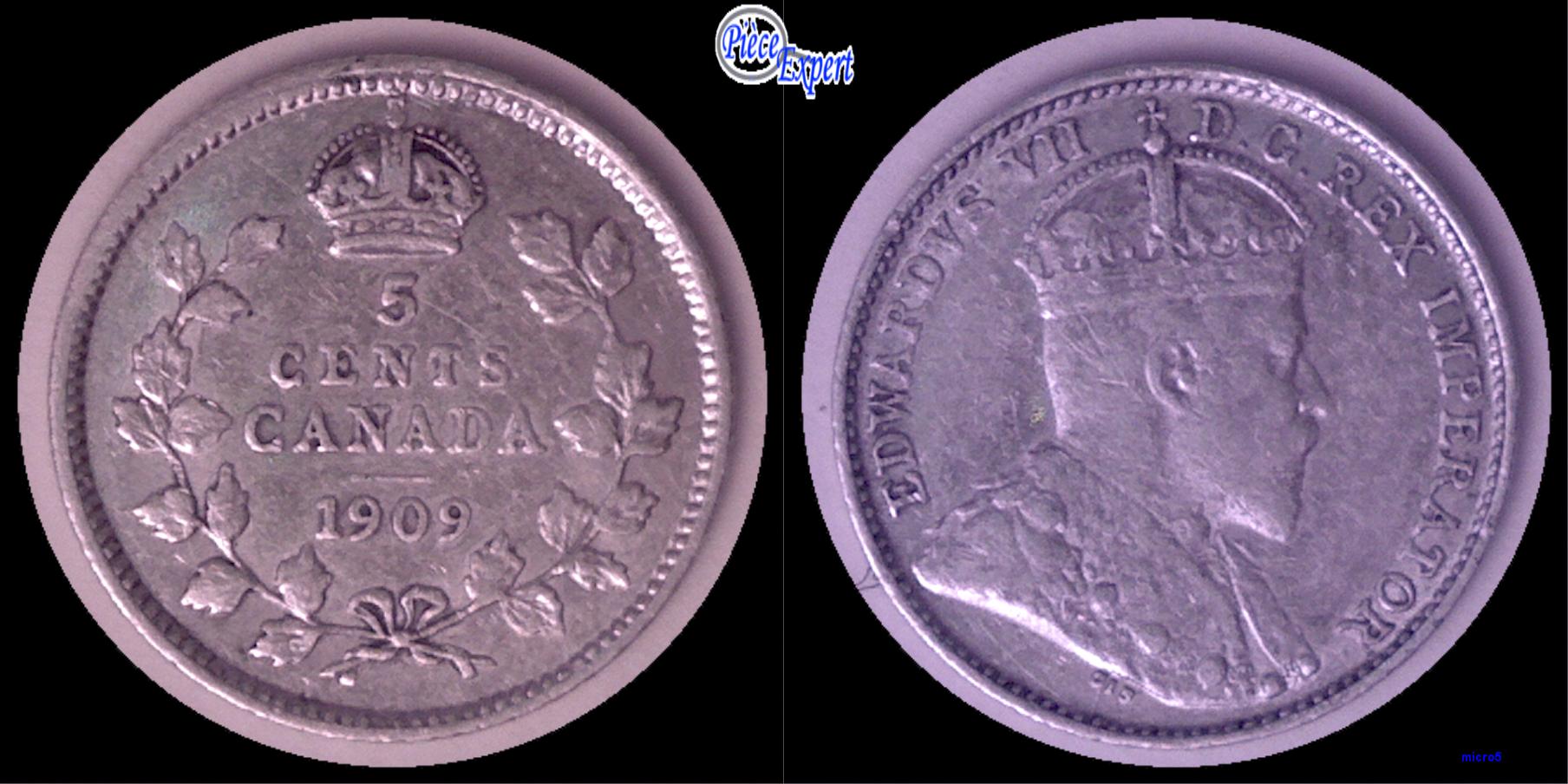 5 cents 1909 coin fendillé avers montage.jpg