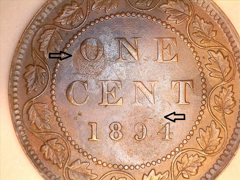 1894.jpg