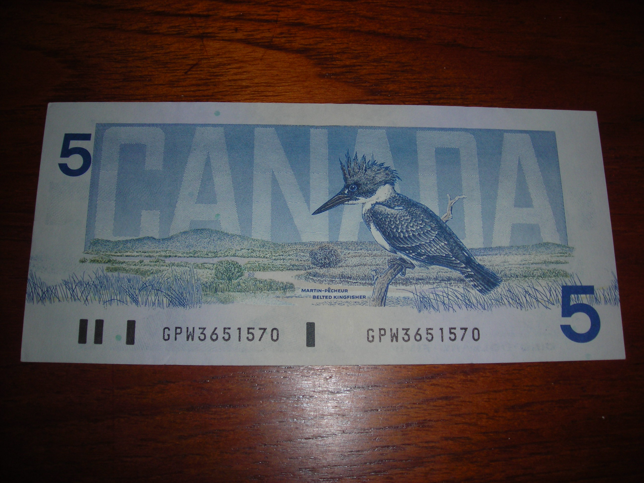 5$ 1896 série oiseaux 008.jpg