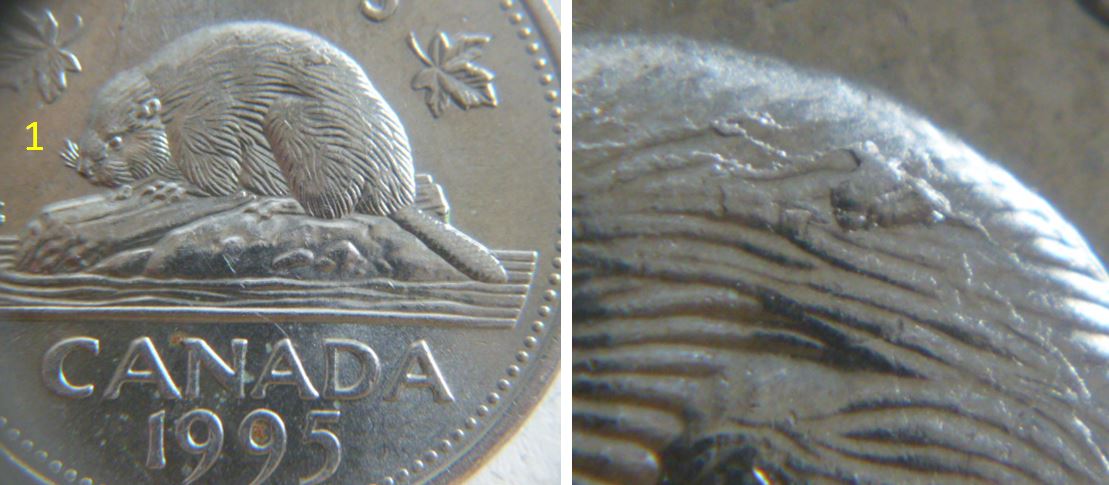 5 Cents 1995-Belle éclat de coin sur le dos du castor-1.JPG