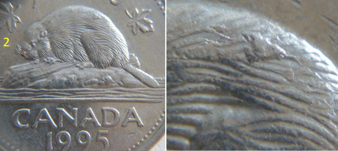 5 Cents 1995-Belle éclat de coin sur le dos du castor-2.JPG