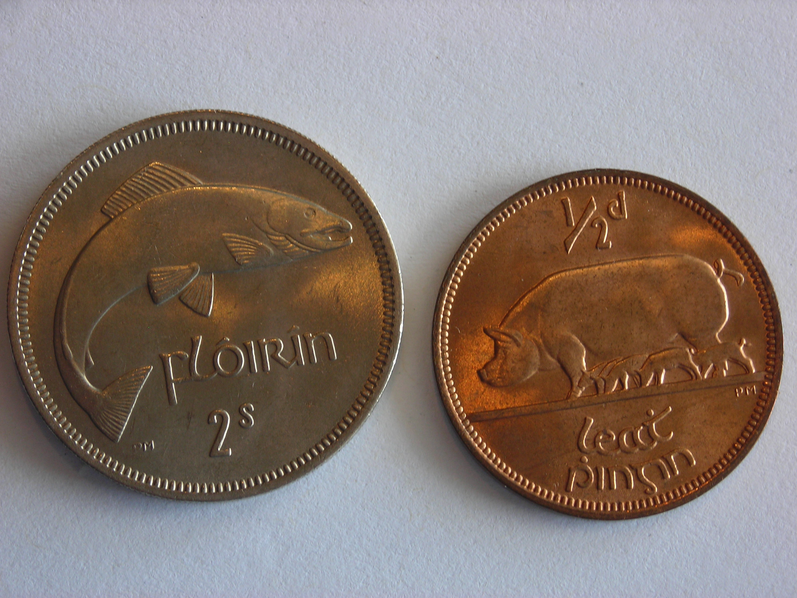 DSCN5814.JPG