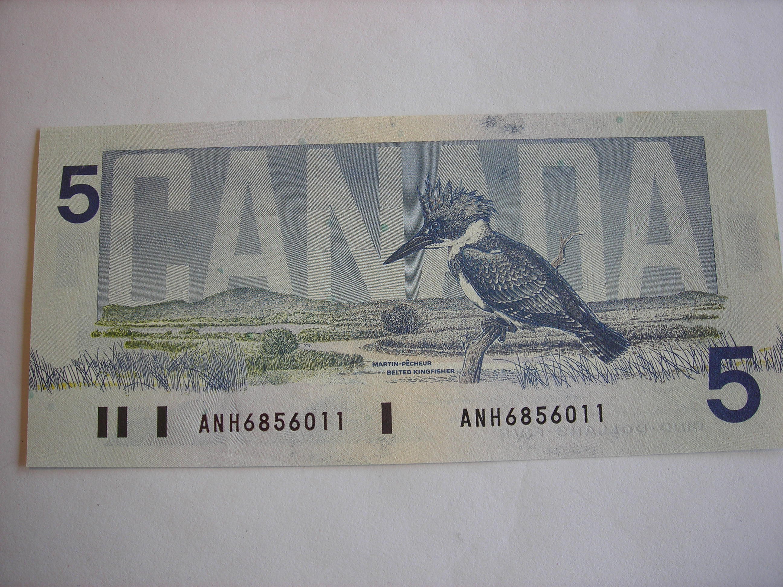 DSCN5856.JPG