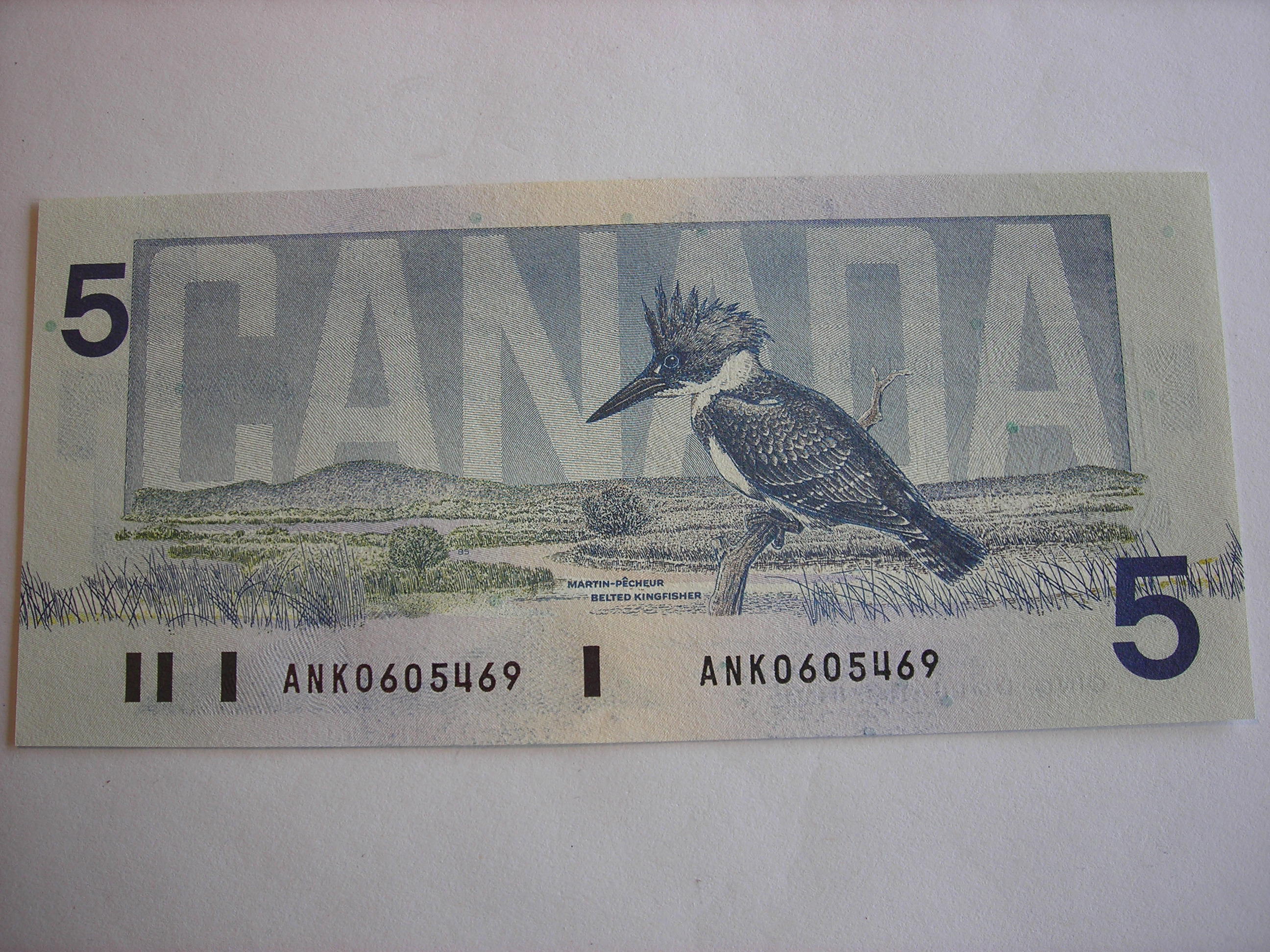DSCN5858.JPG