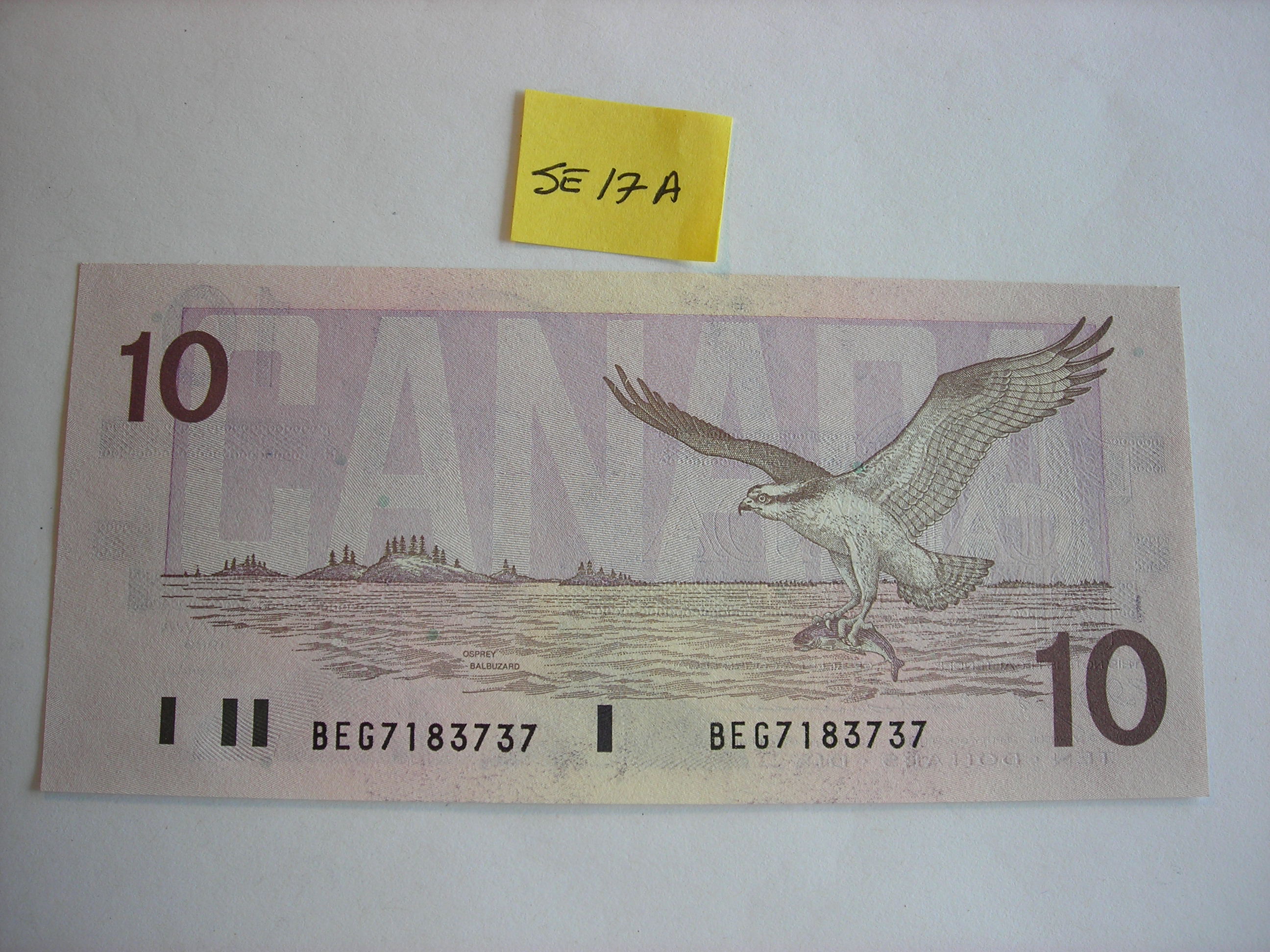 DSCN5887.JPG