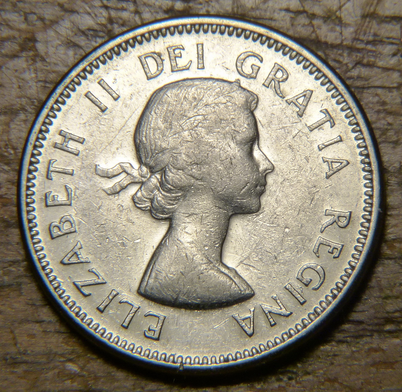 P1270426_resize.JPG