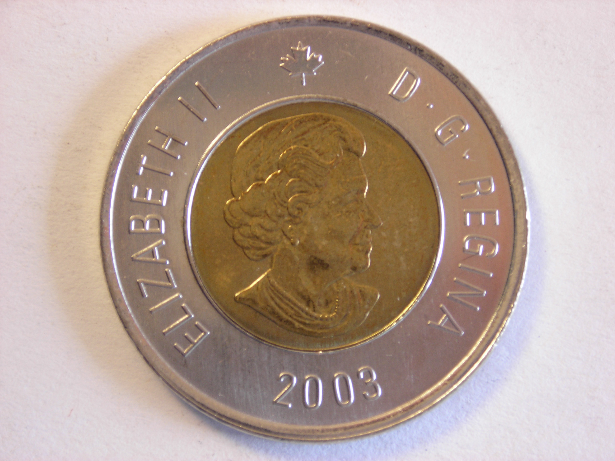 DSCN5905.JPG